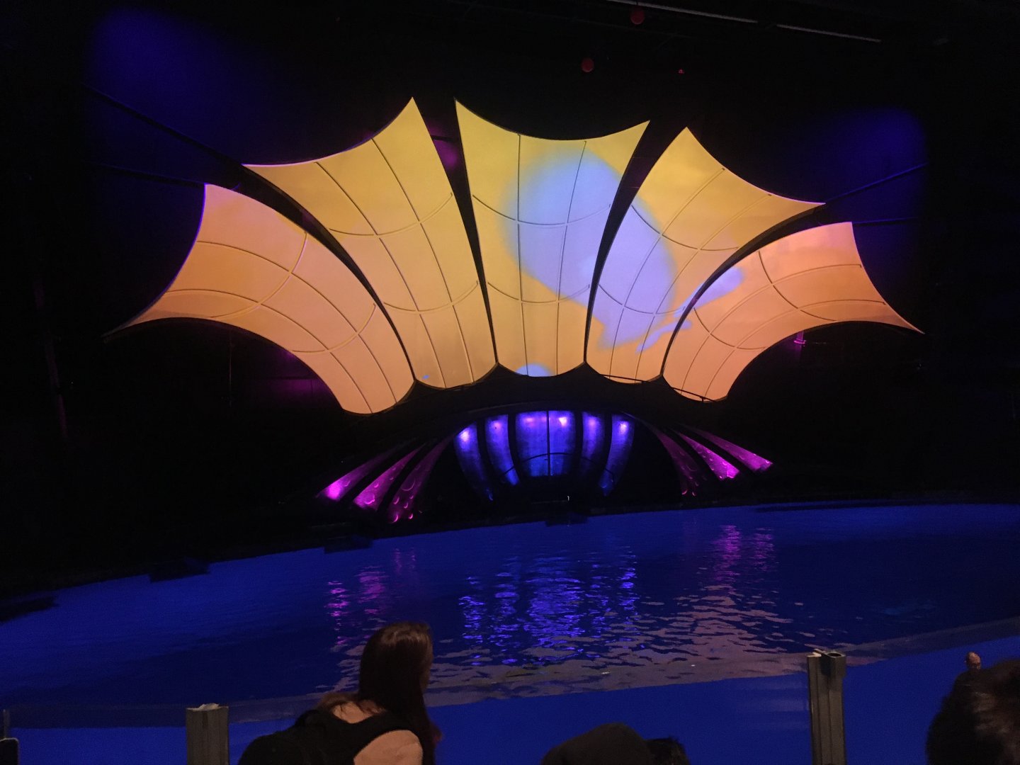 Dolphin Coast stadium