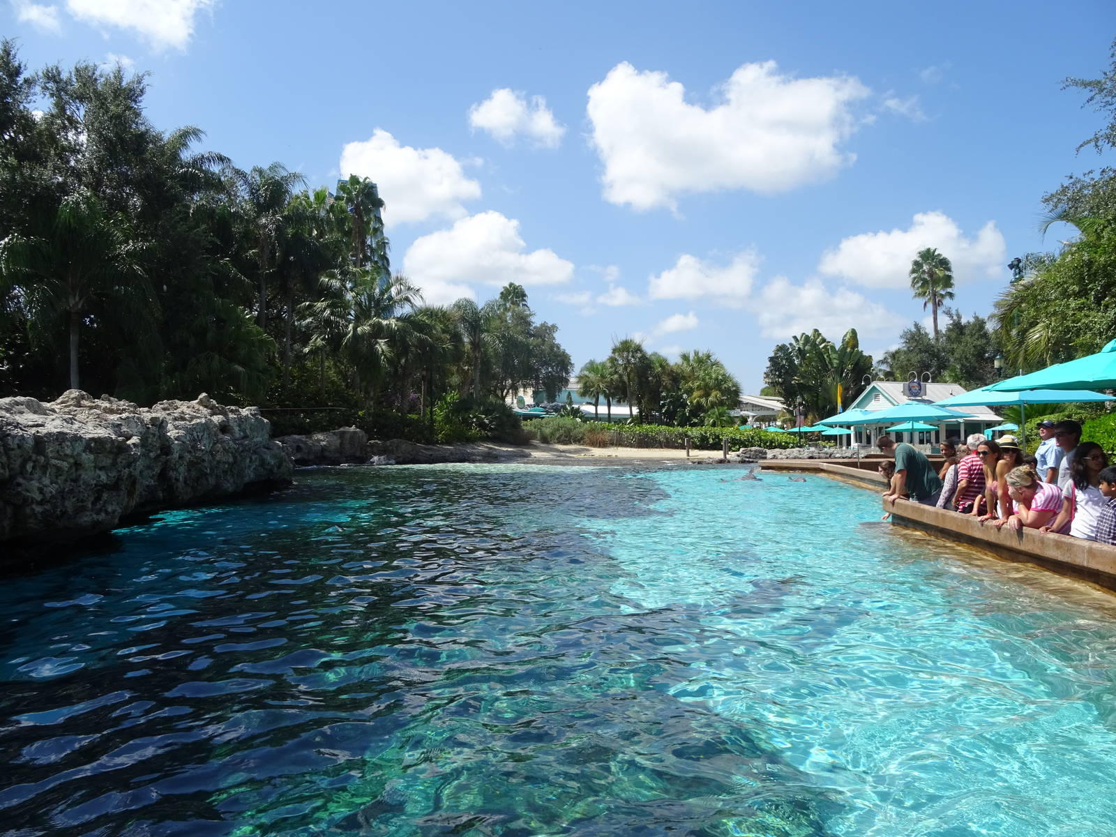 Dolphin Cove at SeaWorld Orlando