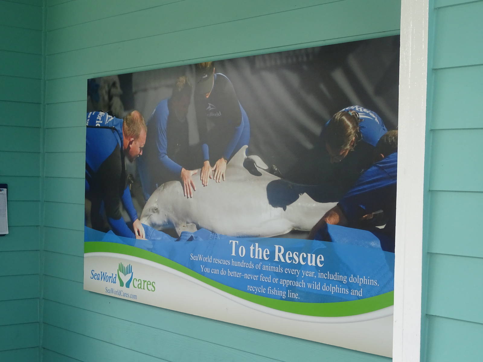 Dolphin Cove Signage at SeaWorld Orlando