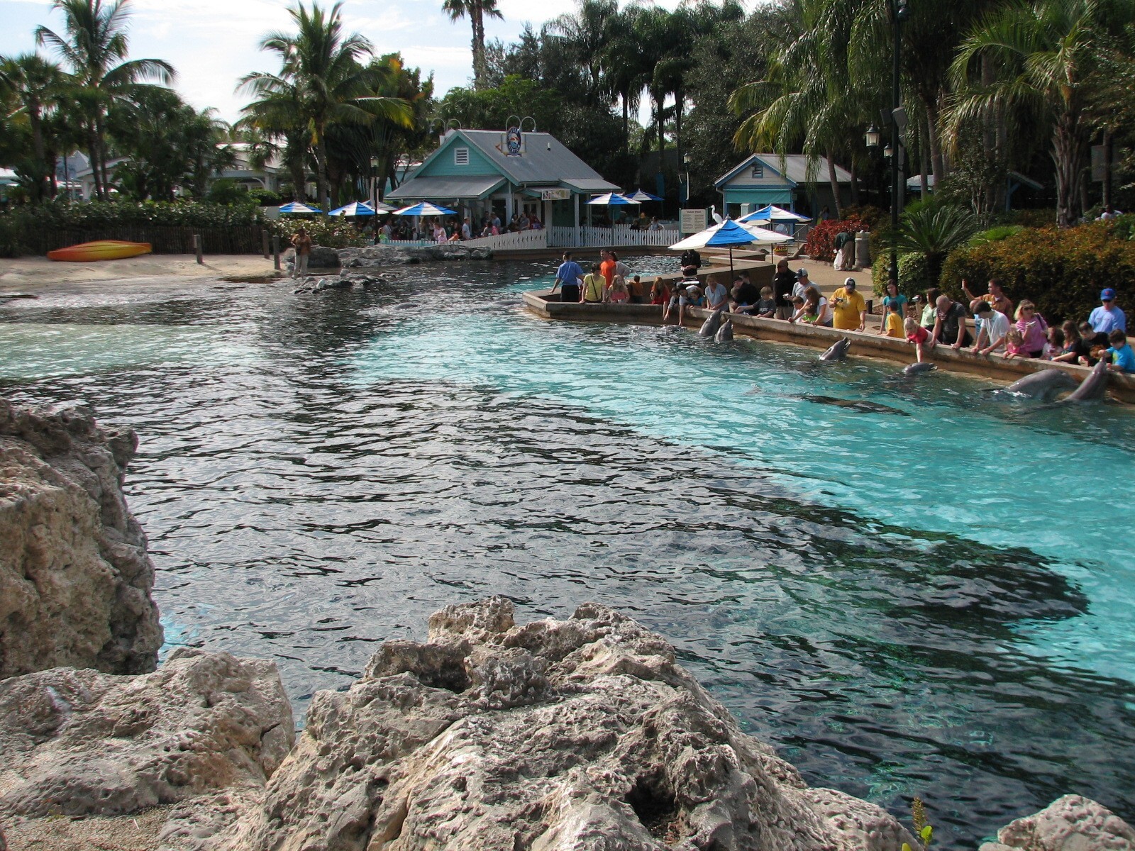 Dolphin Cove