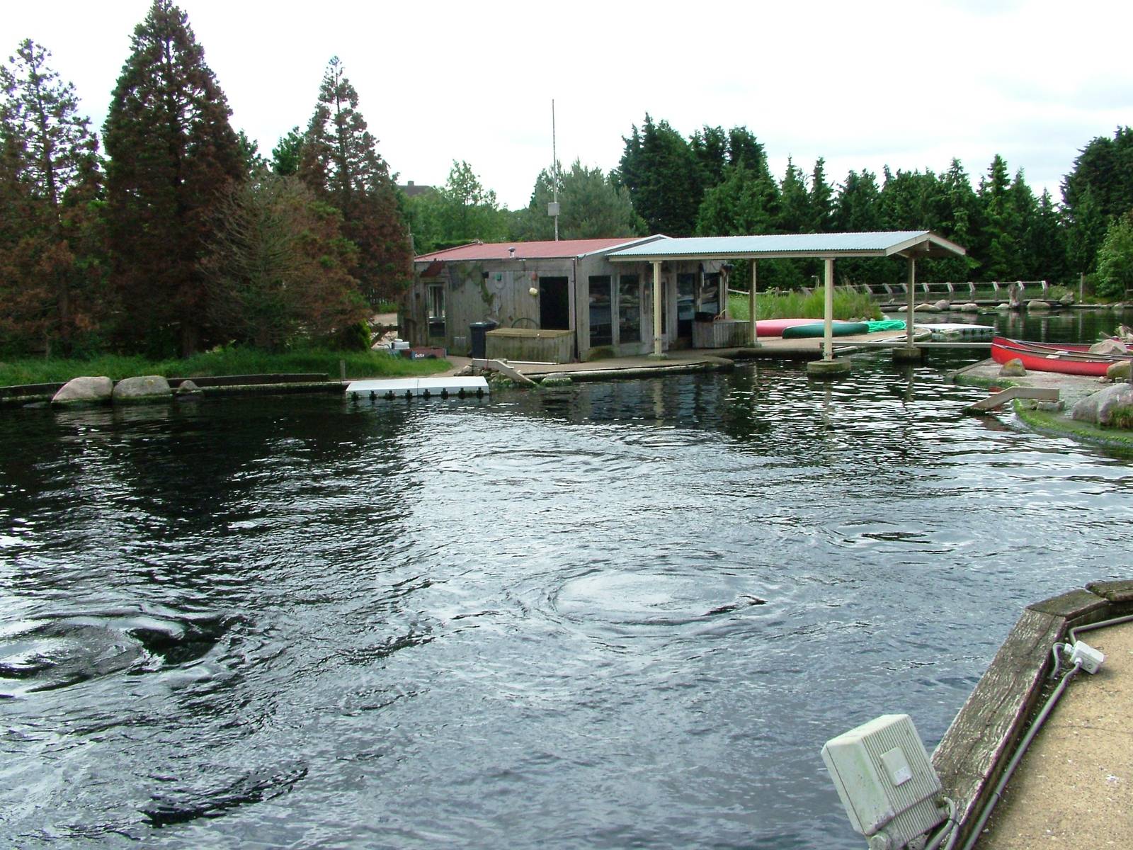 Dolphin Delta at Harderwijk, 01/06/12