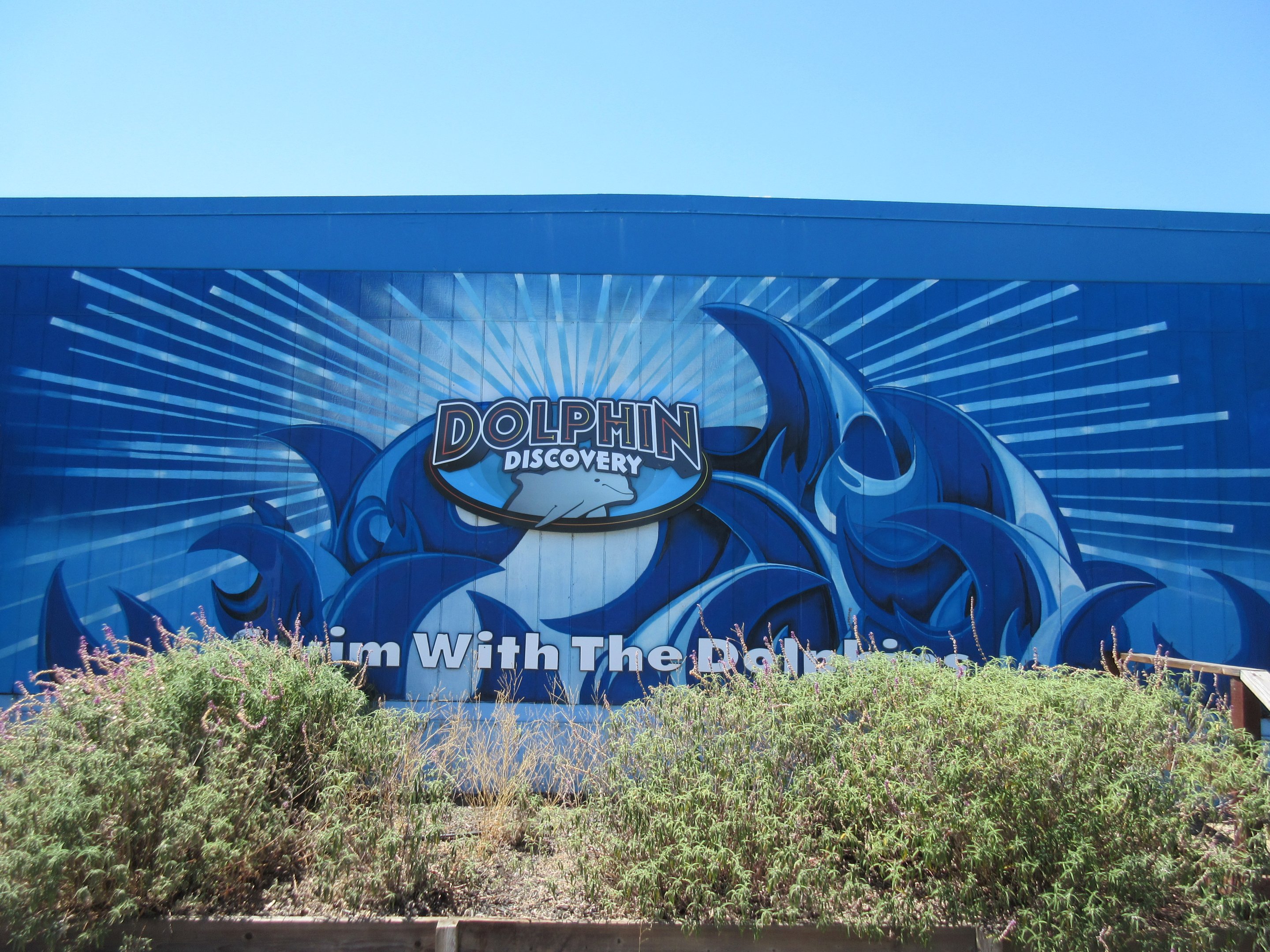 Dolphin Discovery Educational Building