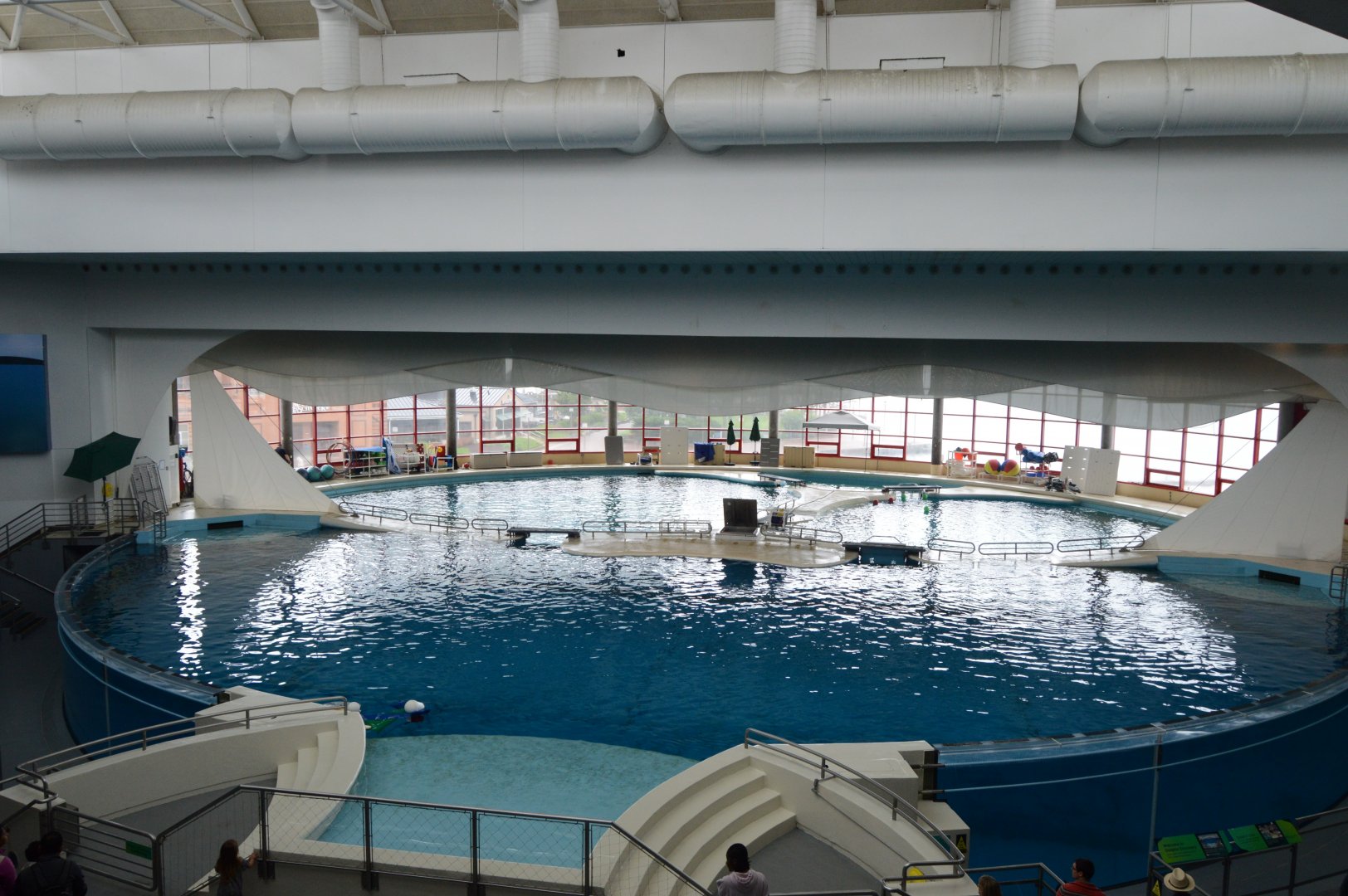 Dolphin Discovery - Overview