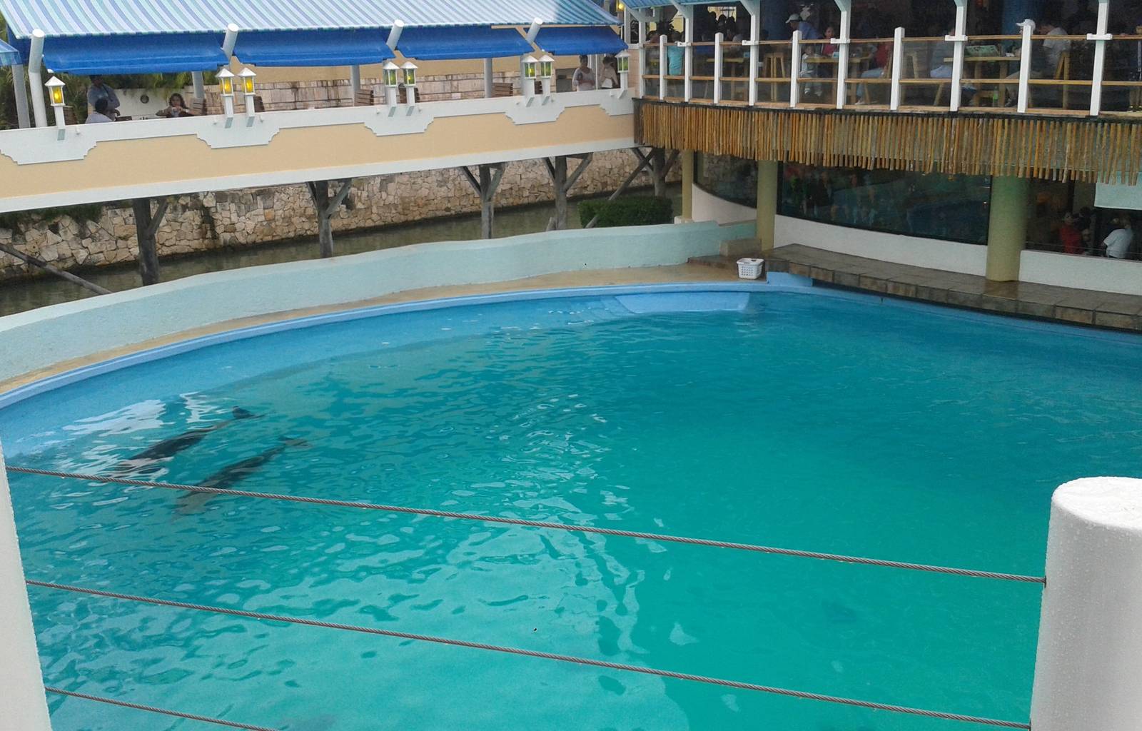 Dolphin enclosure