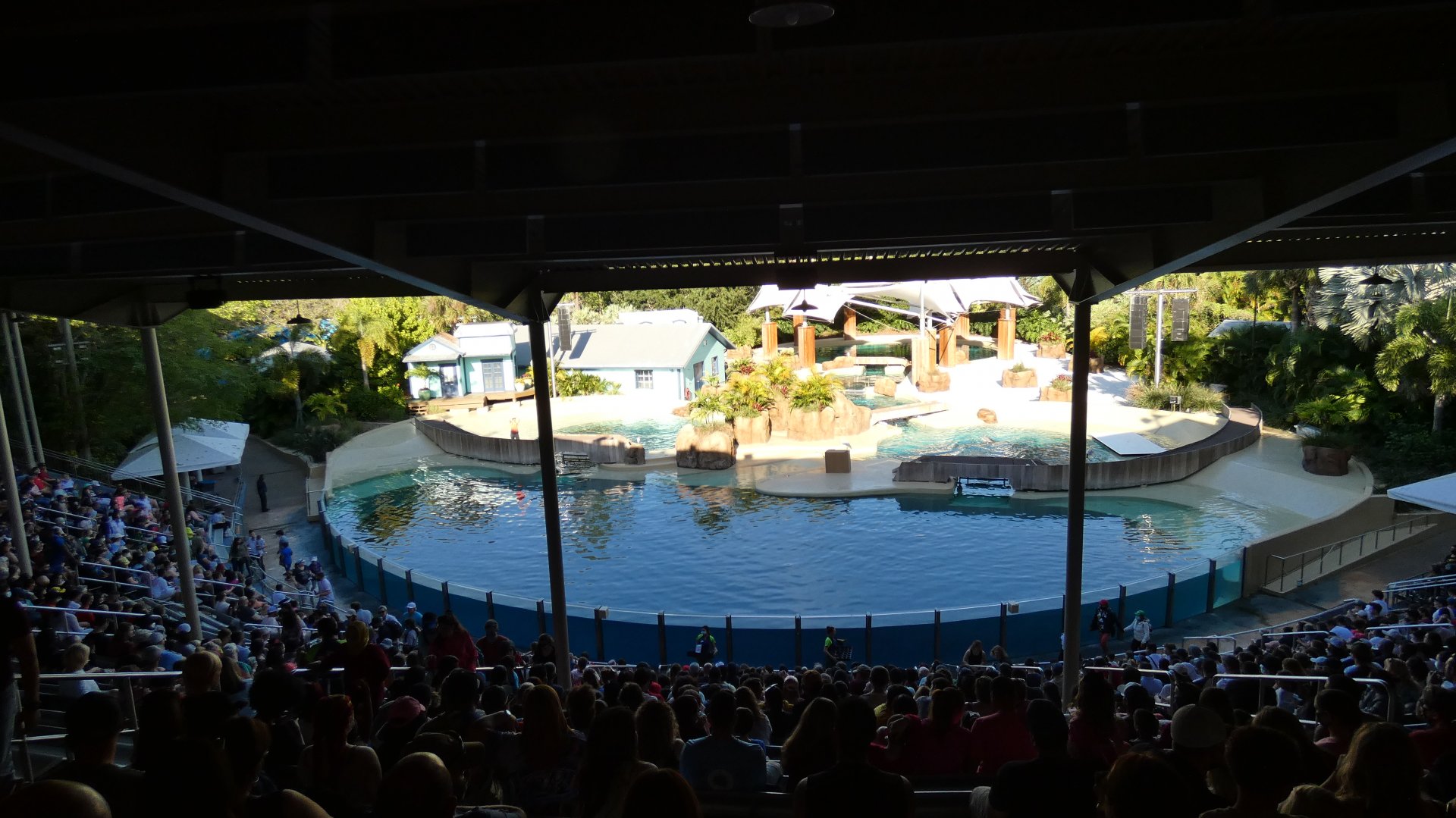 Dolphin Encounter - Jan. 2022