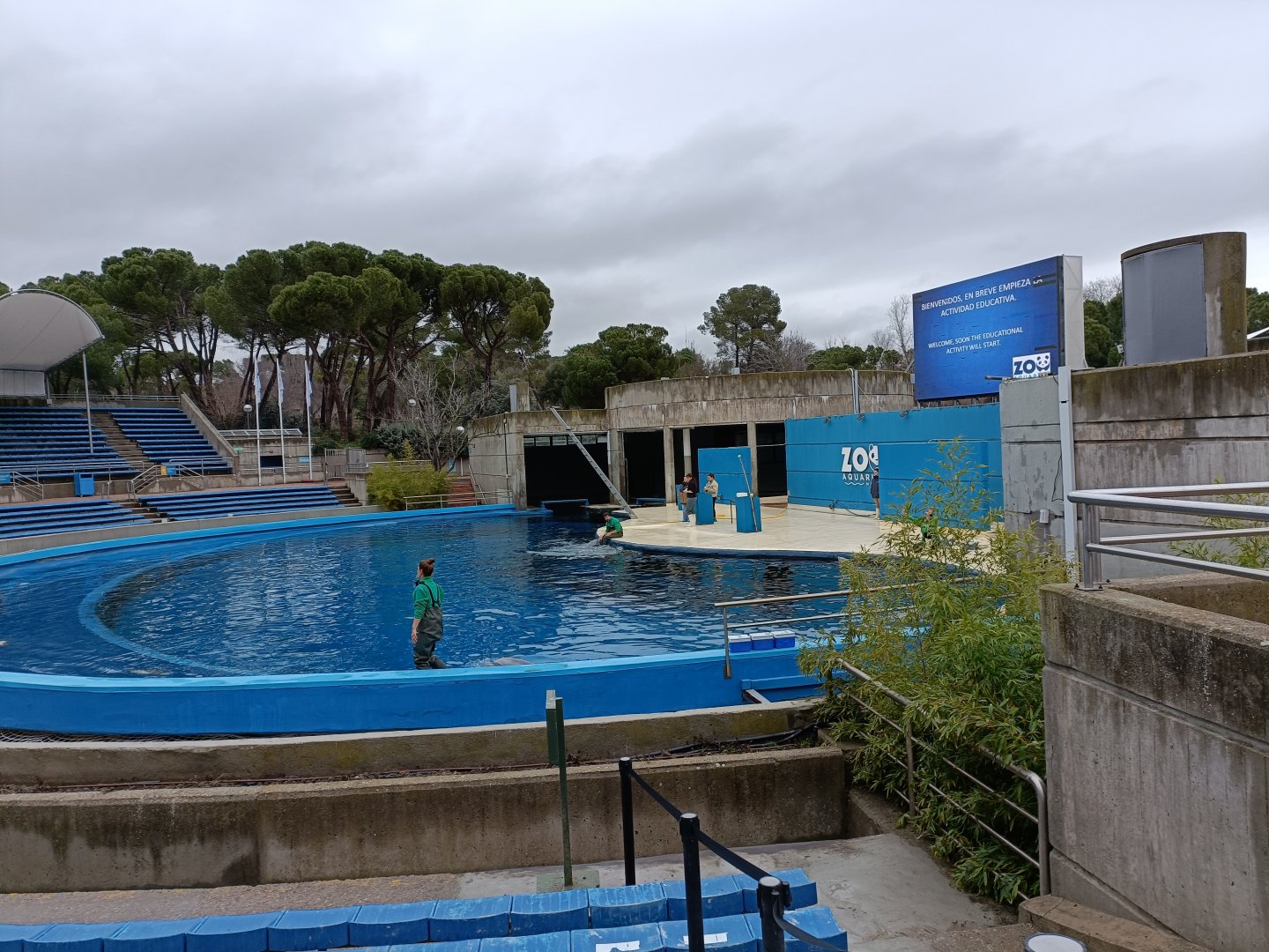 Dolphin exhibit