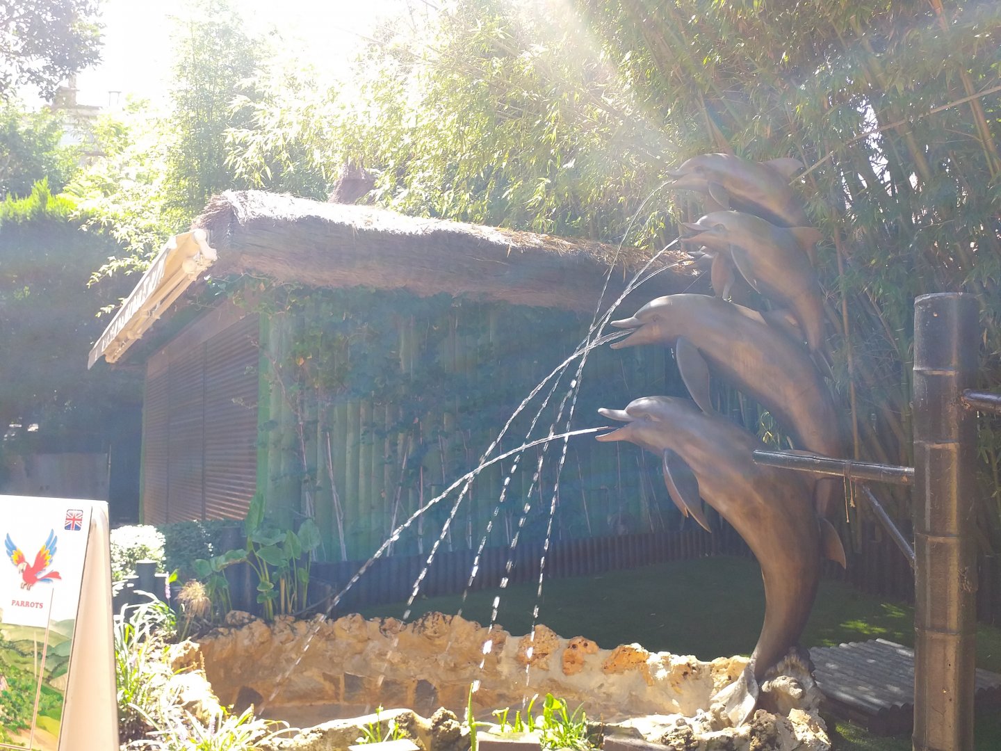 Dolphin fountain -MundoMar Benidorm (2021)