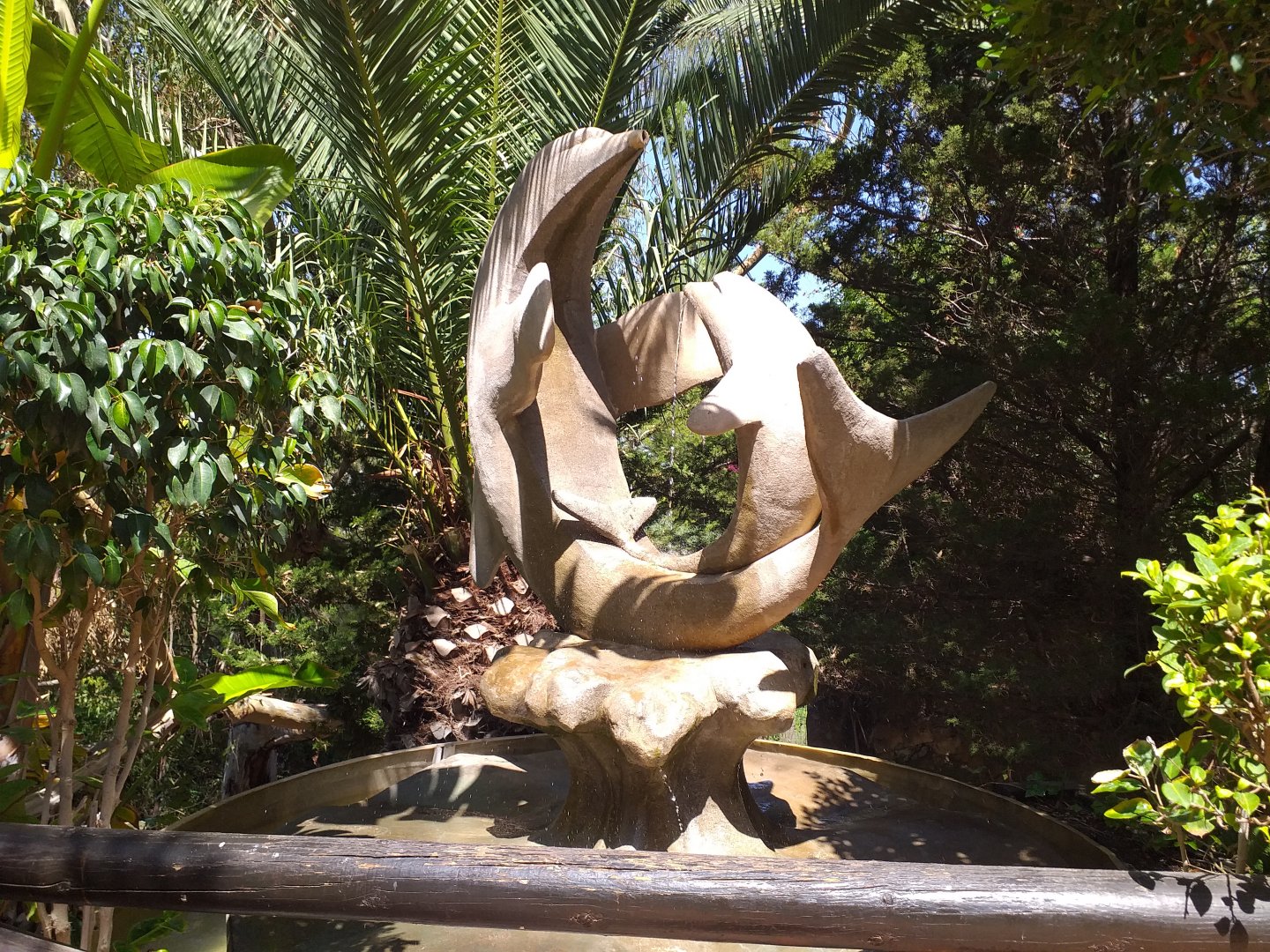 Dolphin fountain -MundoMar Benidorm (2021)