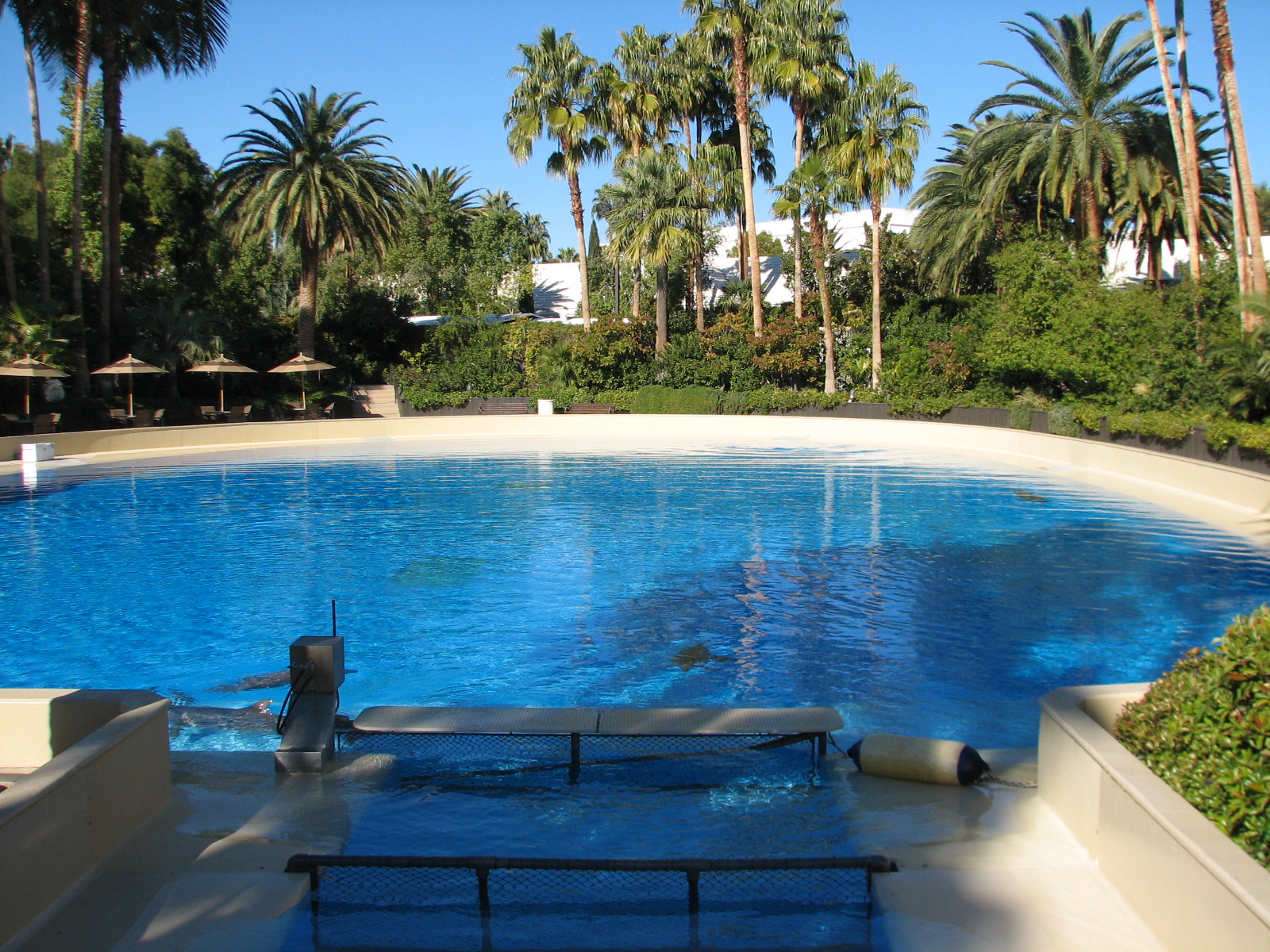 Dolphin Habitat - Birth and Research Pool