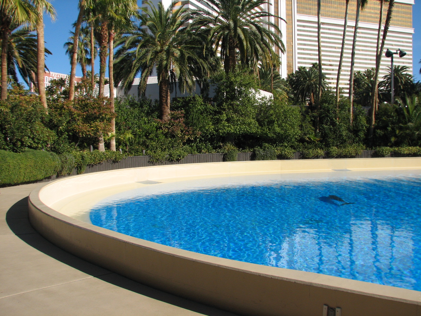 Dolphin Habitat - Birth and Research Pool