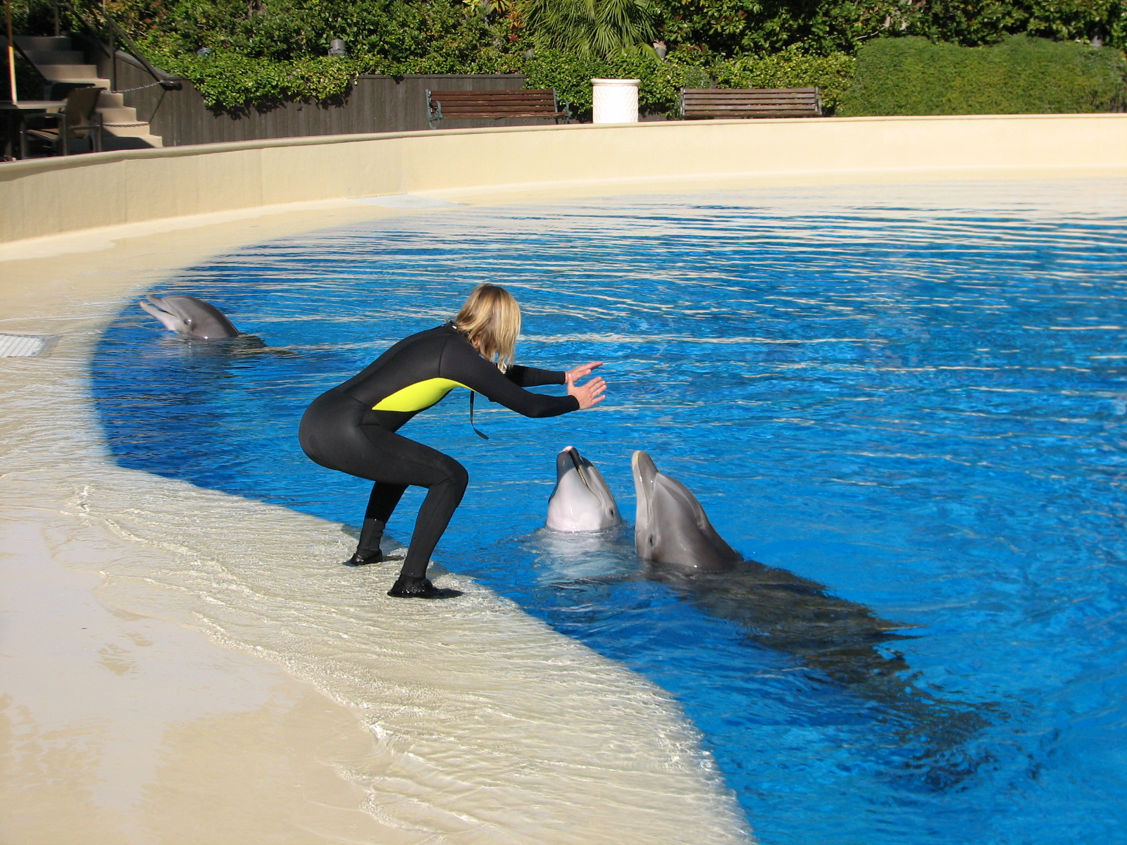 Dolphin Habitat - Birth and Research Pool