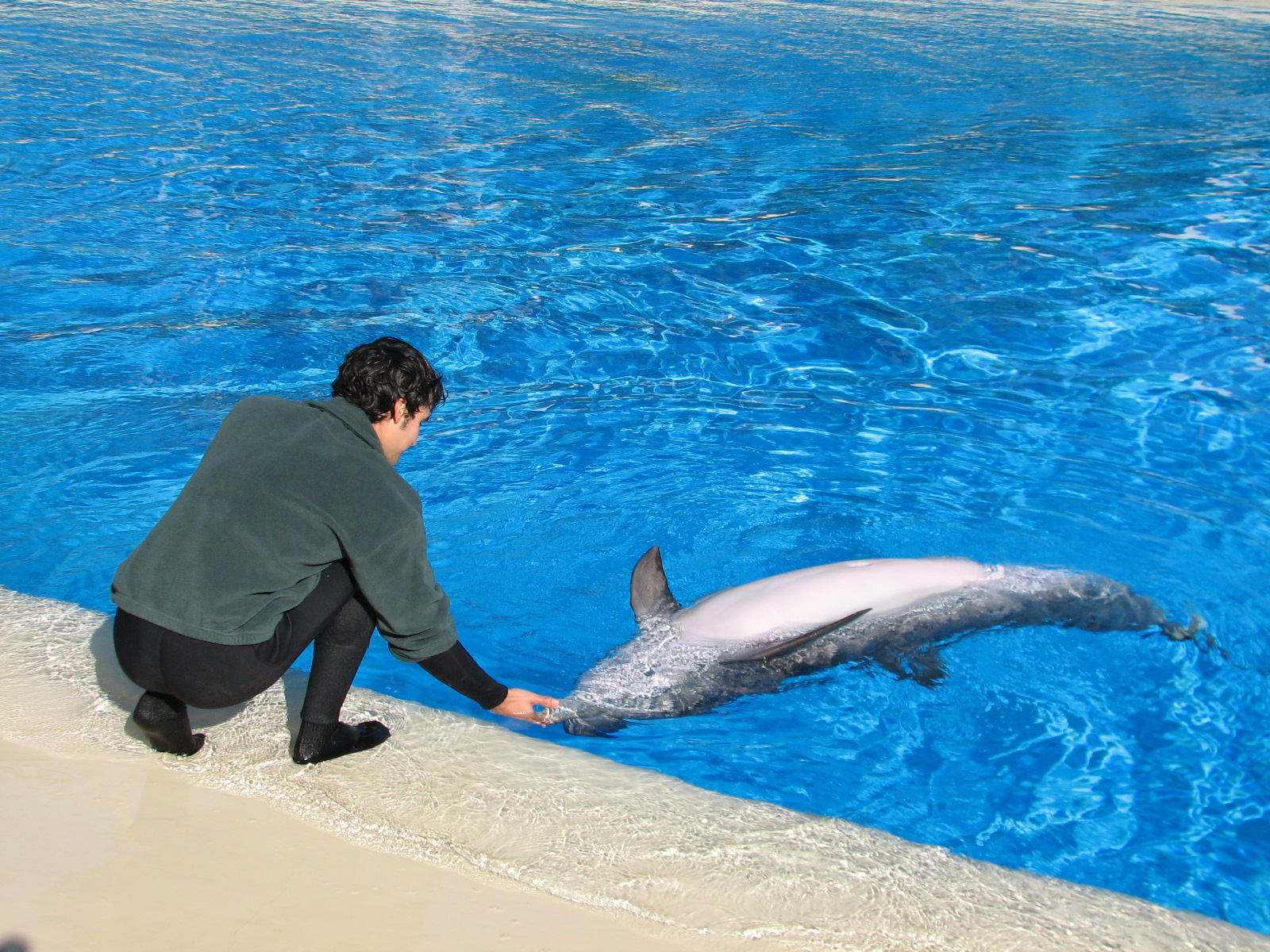 Dolphin Habitat - Birth and Research Pool