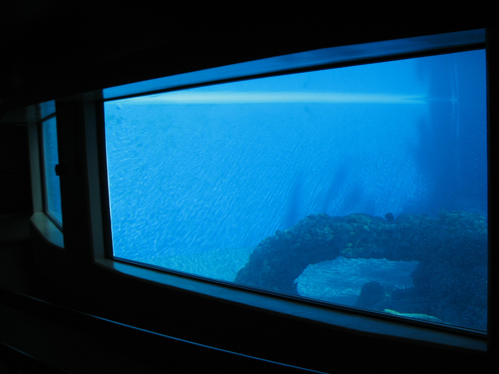 Dolphin Habitat - Main Pool Underwater Viewing