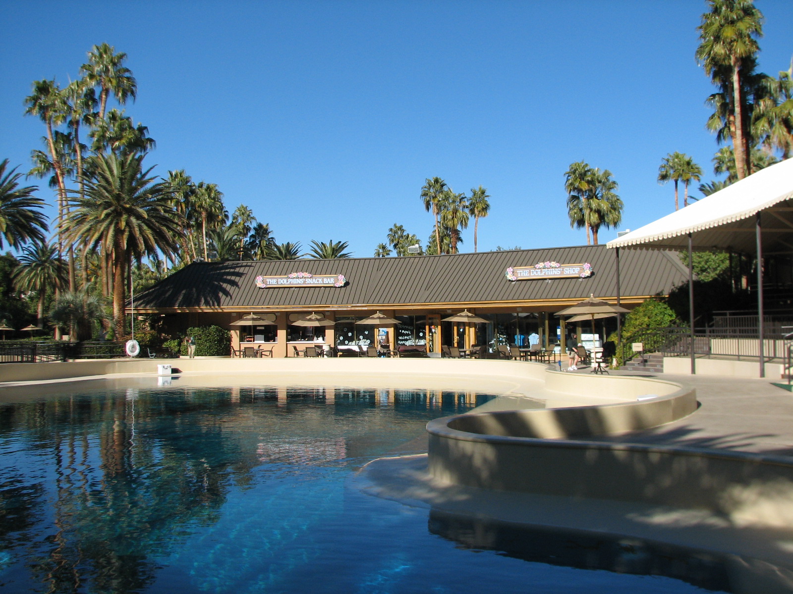 Dolphin Habitat - Main Pool