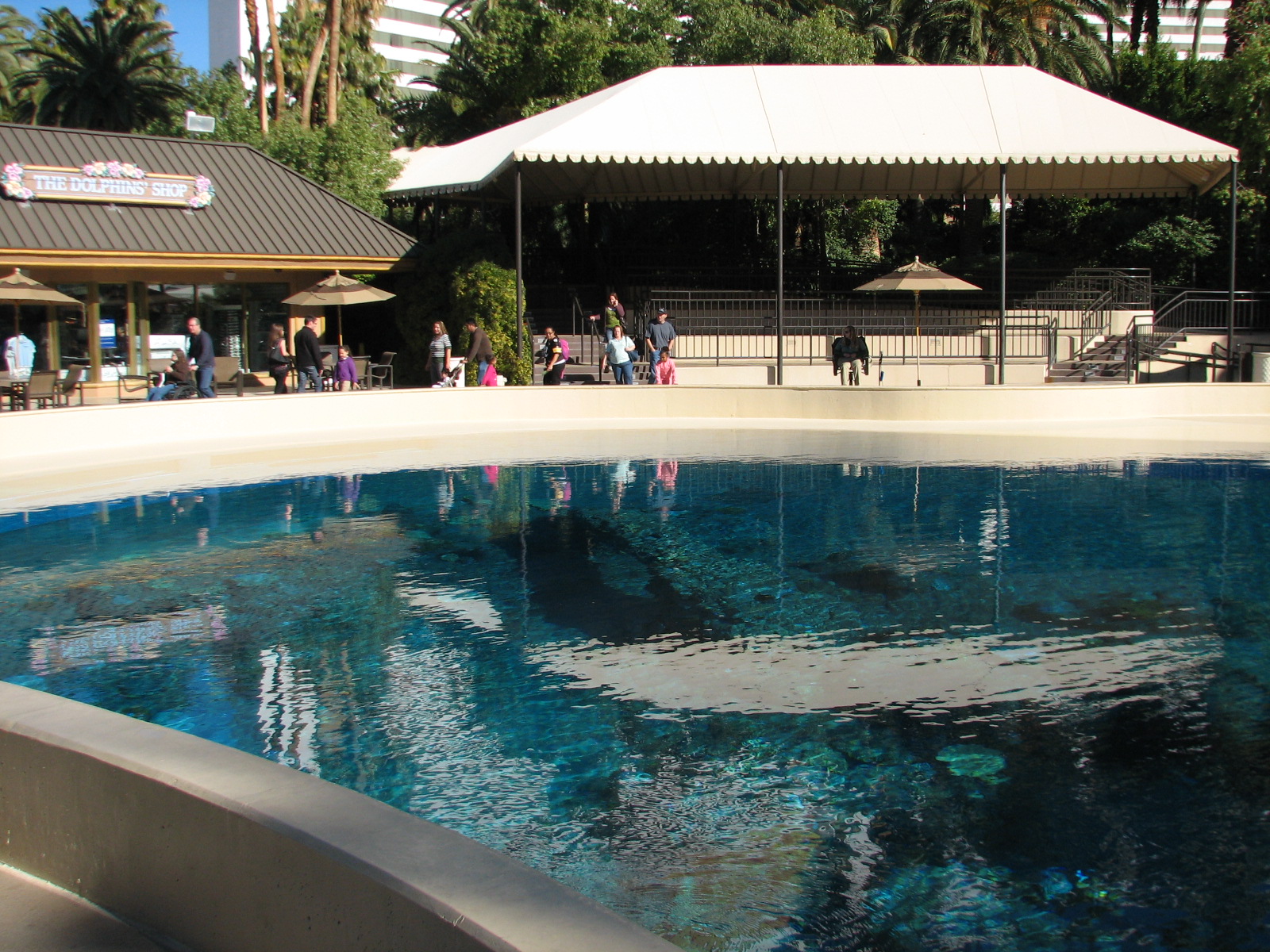 Dolphin Habitat - Main Pool