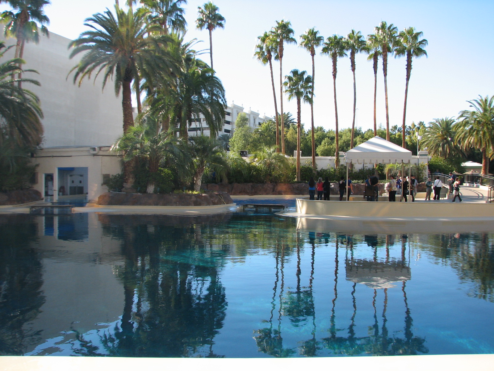 Dolphin Habitat - Main Pool