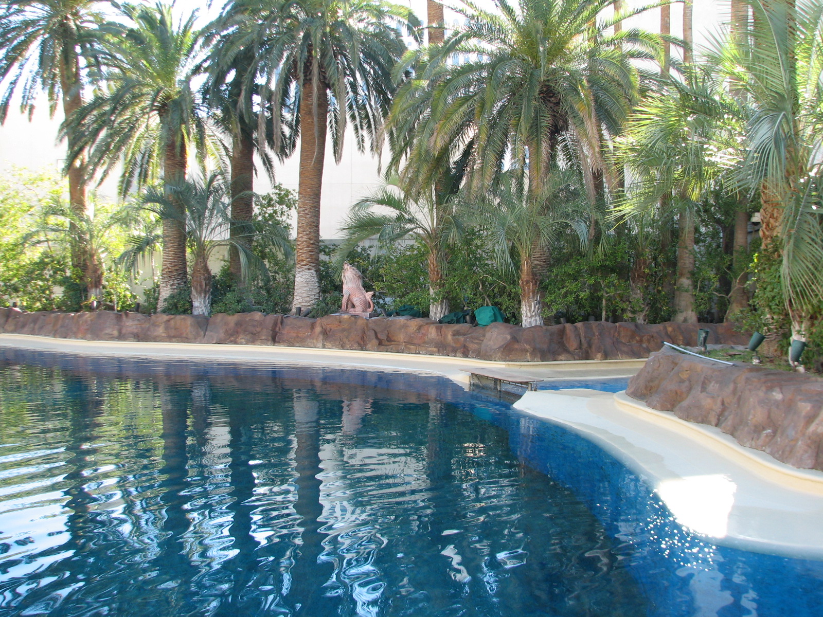 Dolphin Habitat - Main Pool