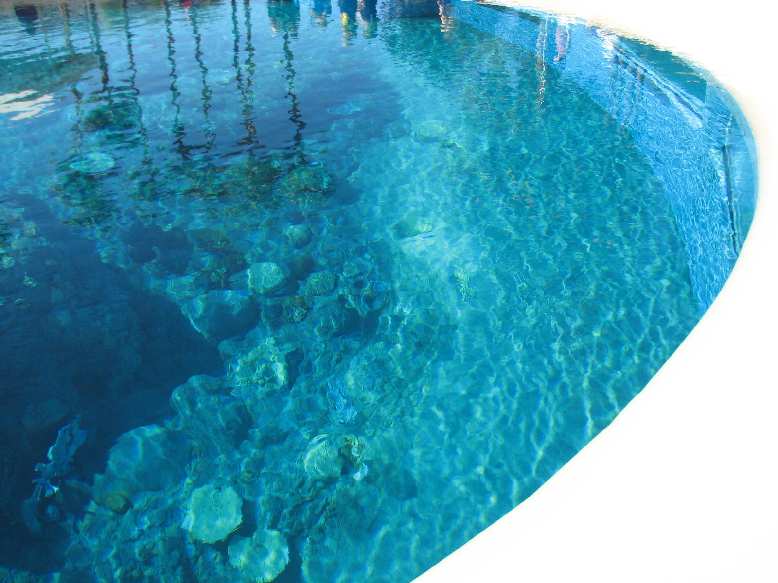Dolphin Habitat - Main Pool