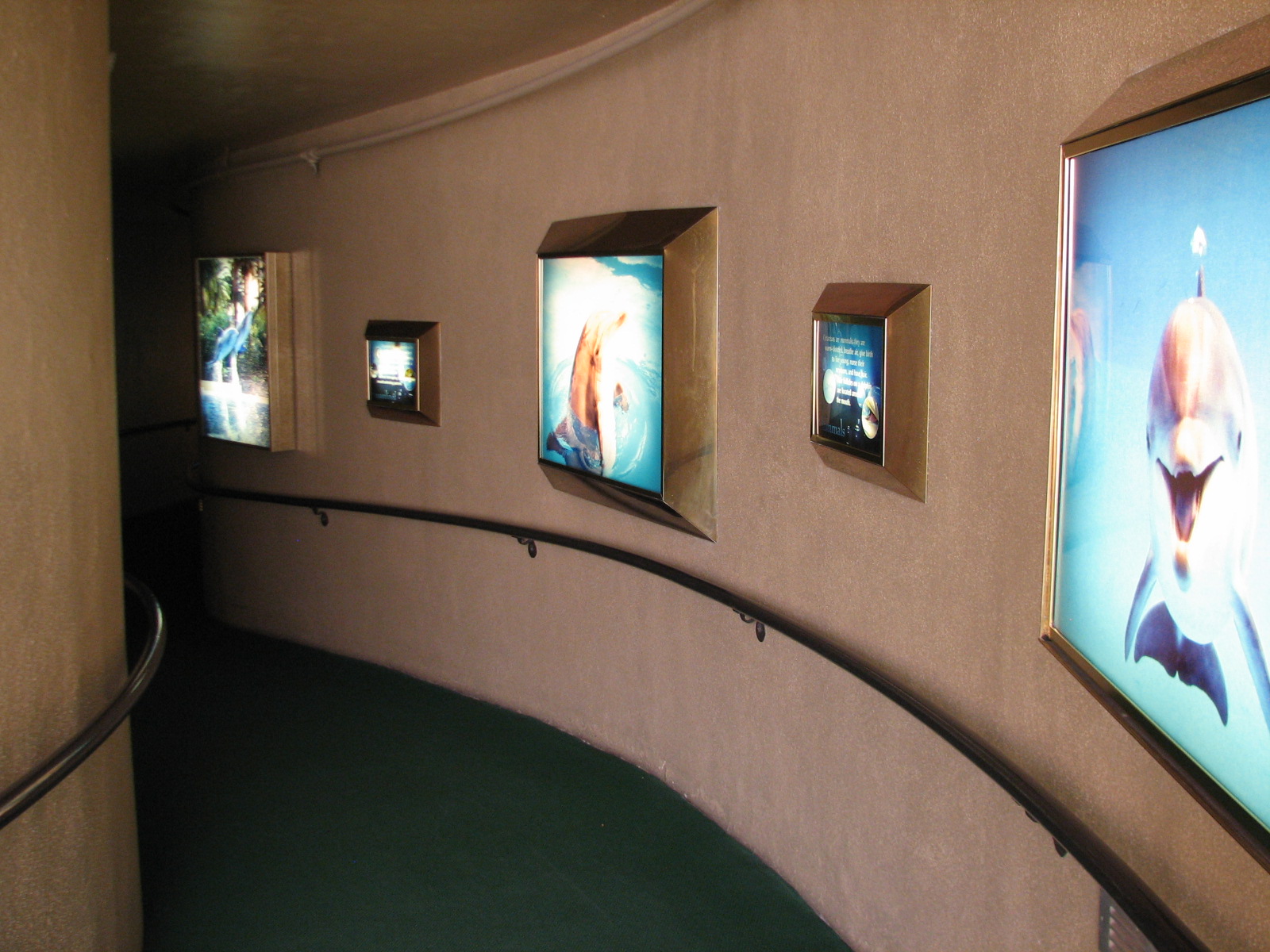 Dolphin Habitat - Underwater Viewing Entrance