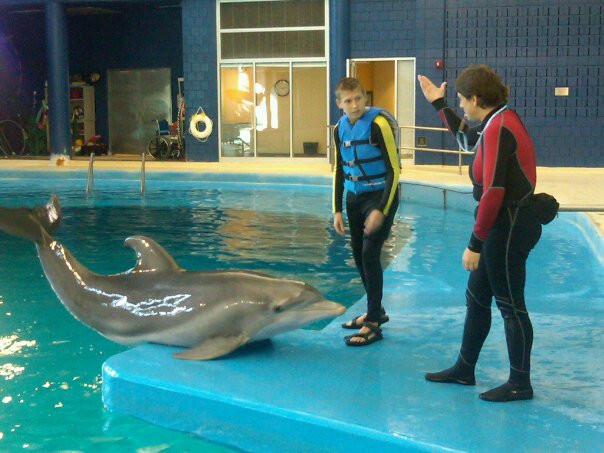 Dolphin In-water Adventure