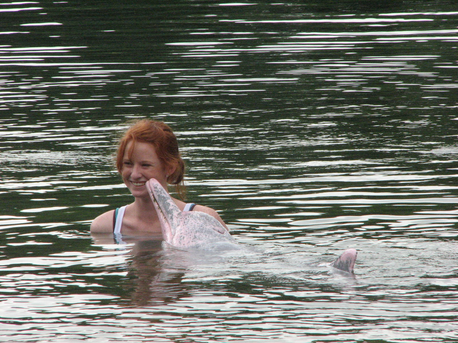 Dolphin Lagoon 2008 - Lucky Australian visitor gets to enter the Lagoon