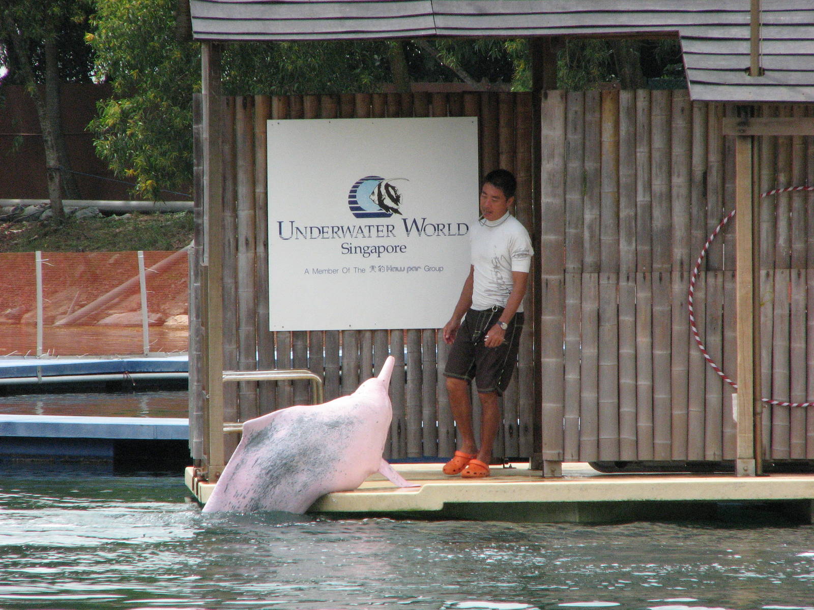 Dolphin Lagoon 2008 - Trainer and Indo-Chinese Humpback Dolphin