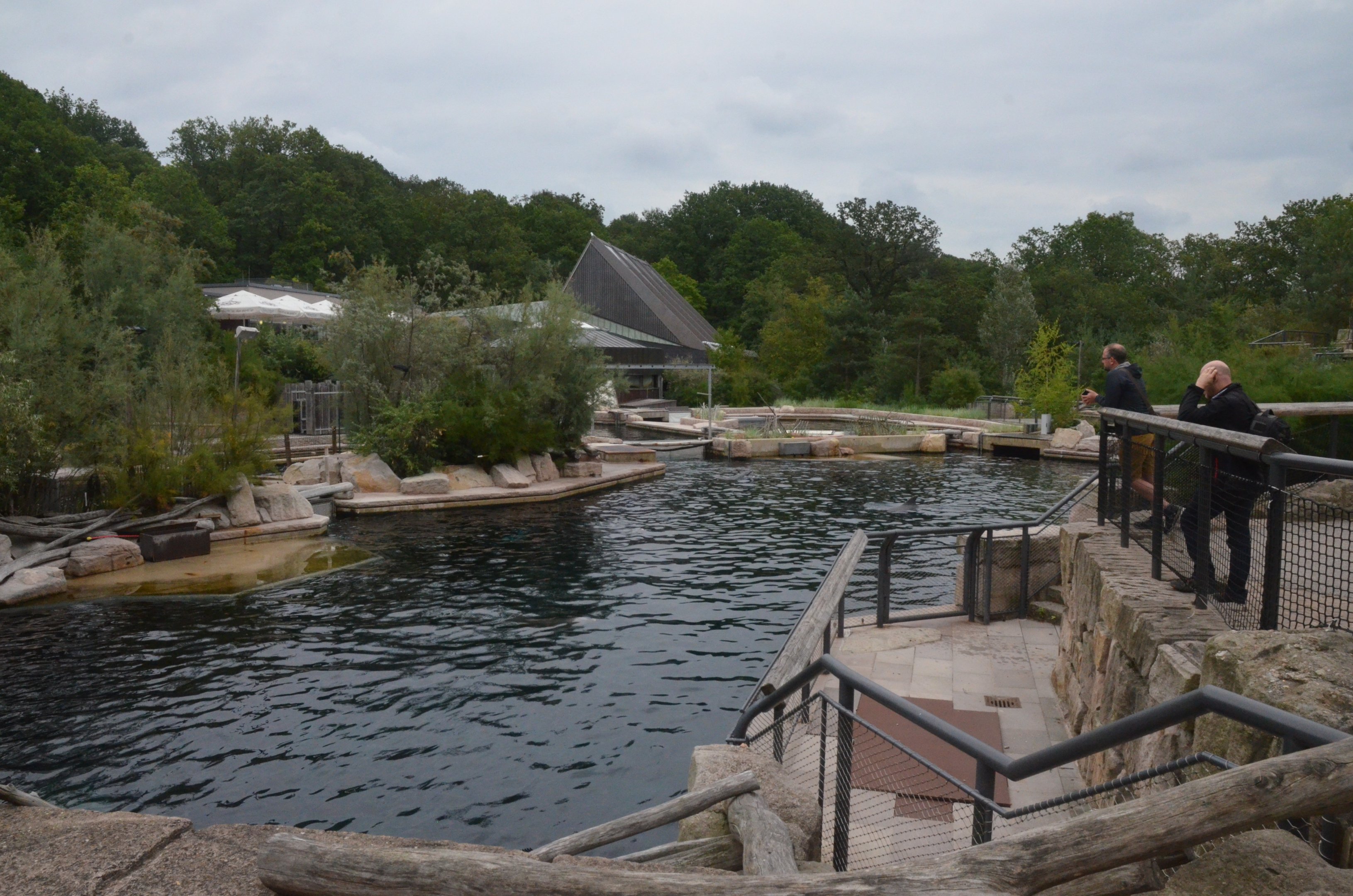 Dolphin Lagoon at Nuremberg, 08/09/19