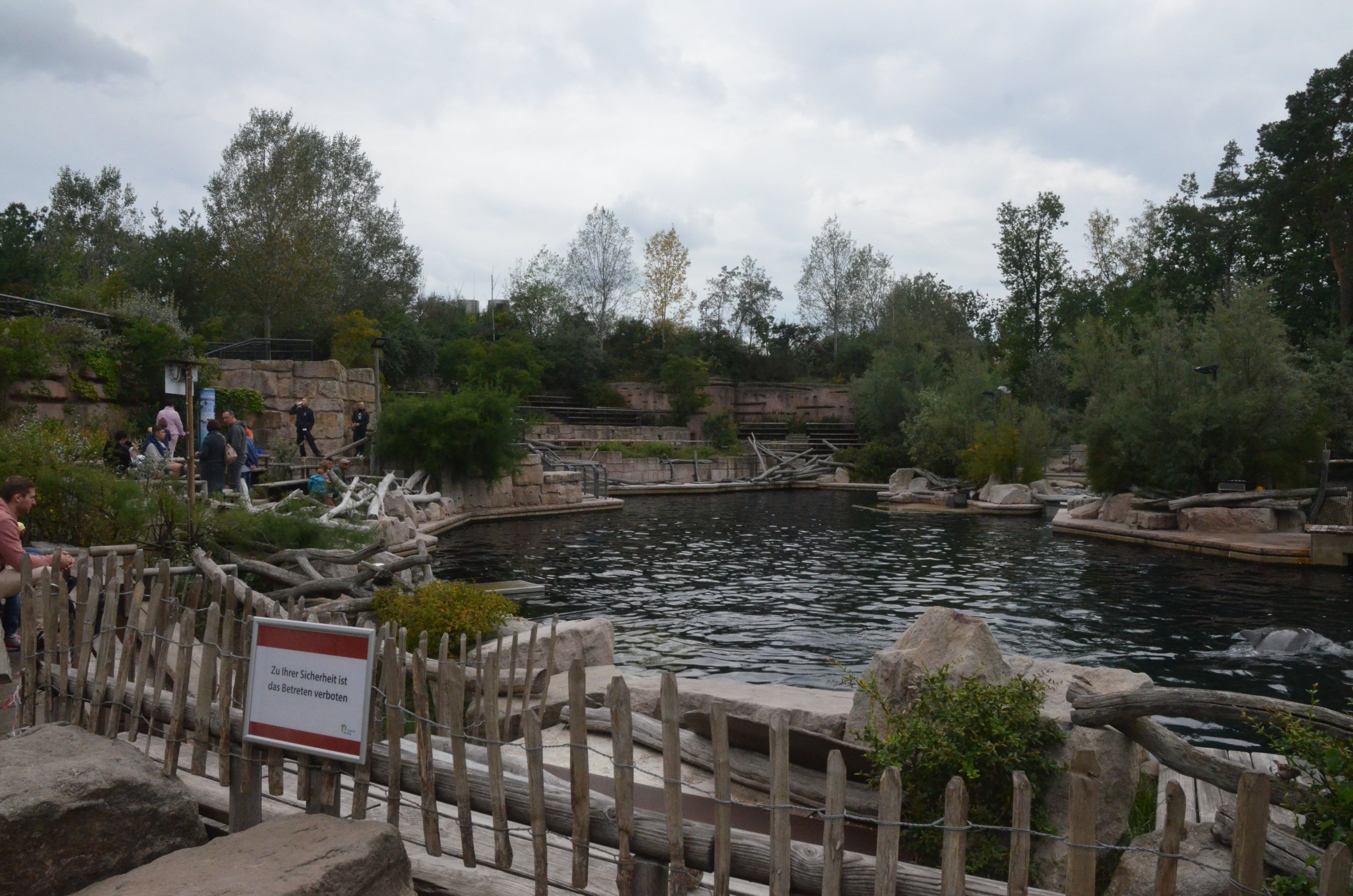 Dolphin Lagoon at Nuremberg, 08/09/19