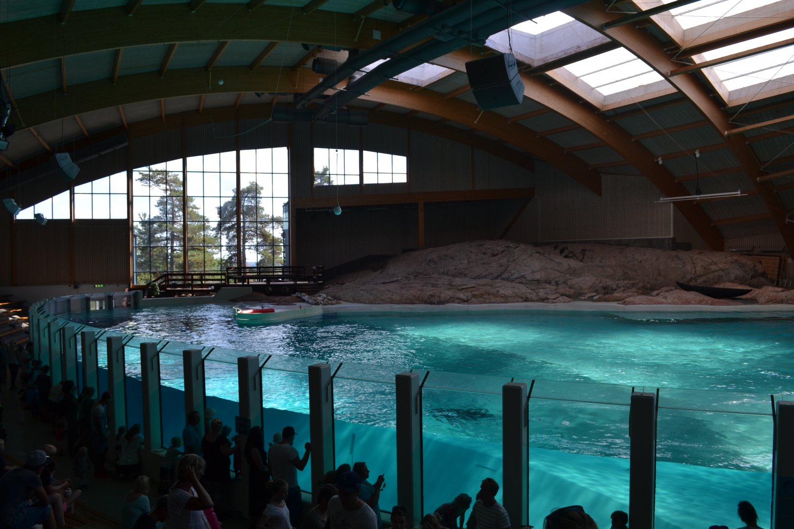 Dolphin lagoon in Kolmården