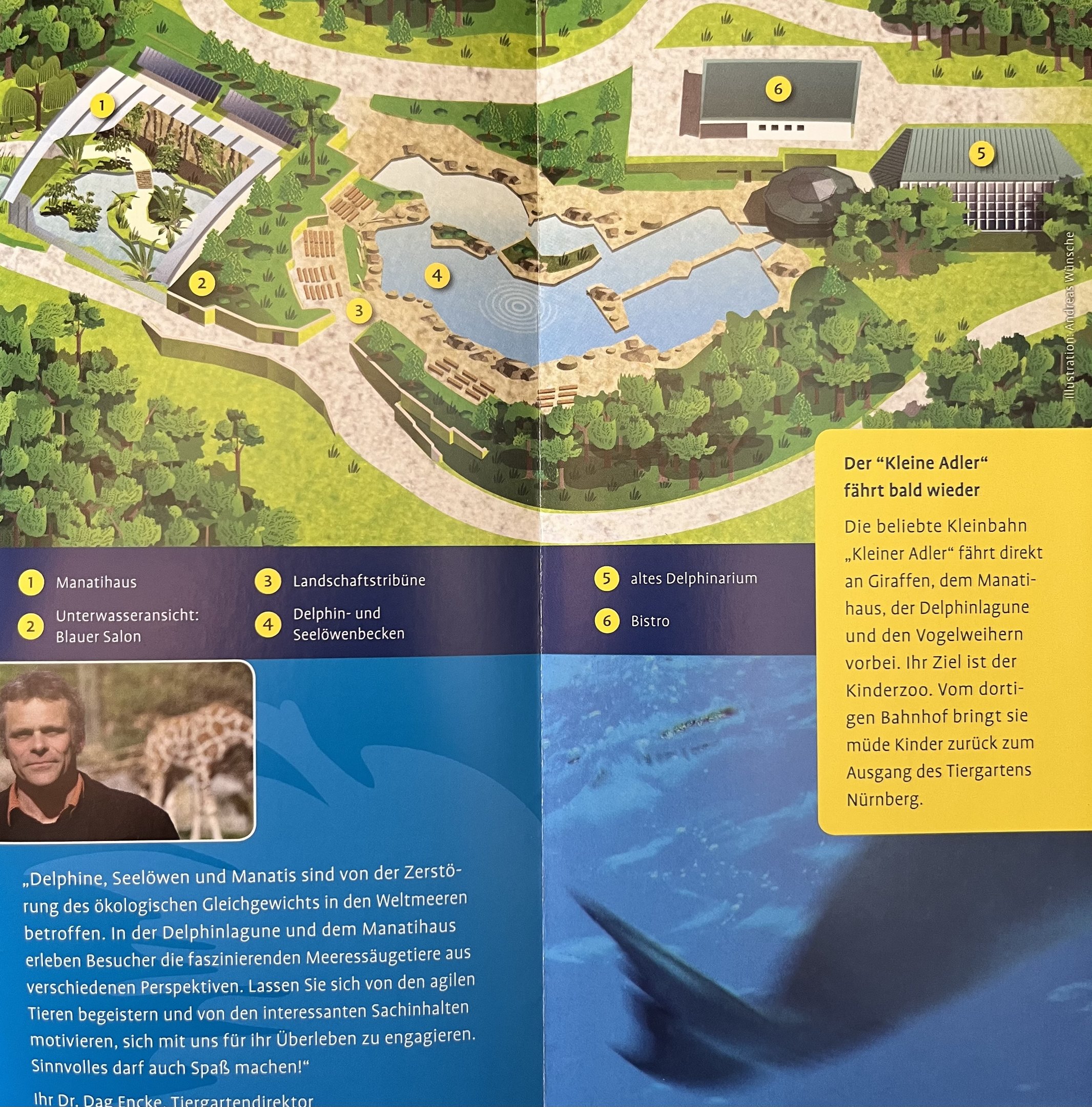 Dolphin Lagoon Map - 2011