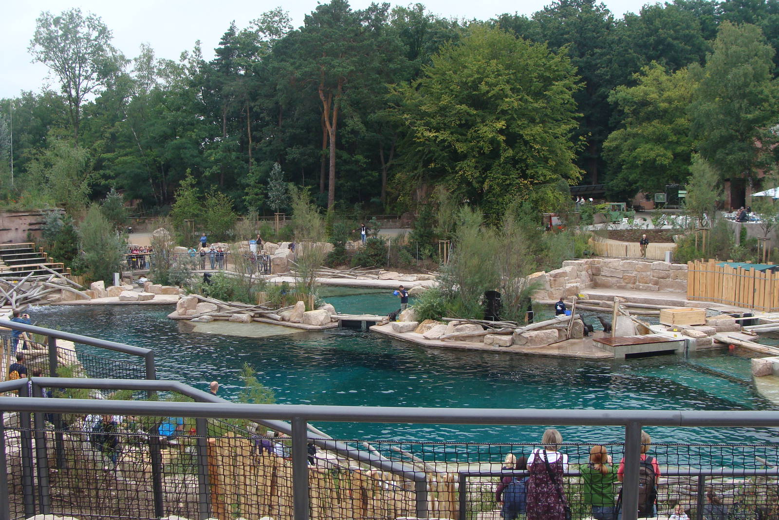 Dolphin Lagoon