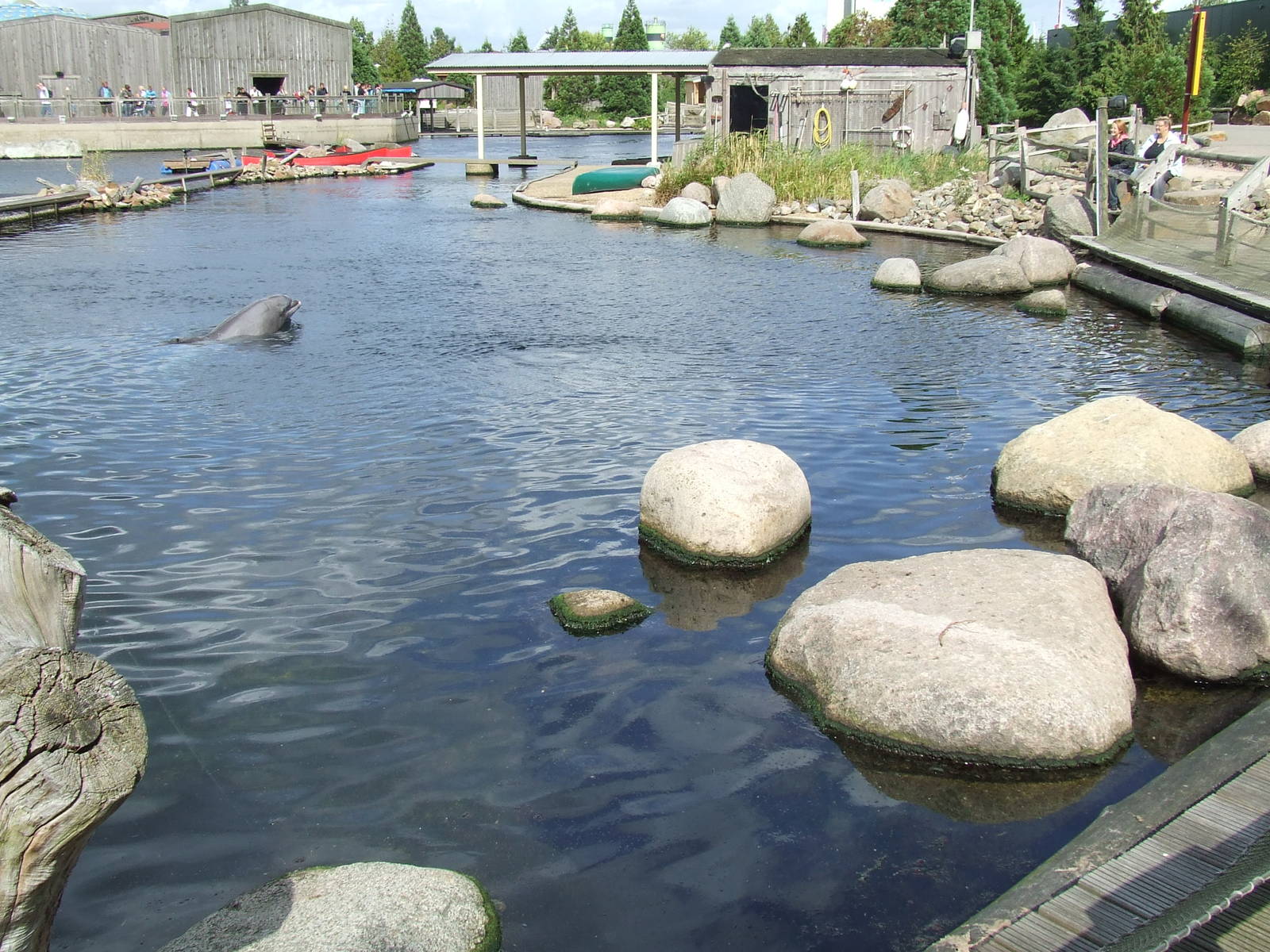 Dolphin Lagoon