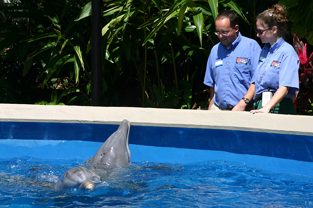 Dolphin Nursery at SeaWorld Orlando 20/03/05