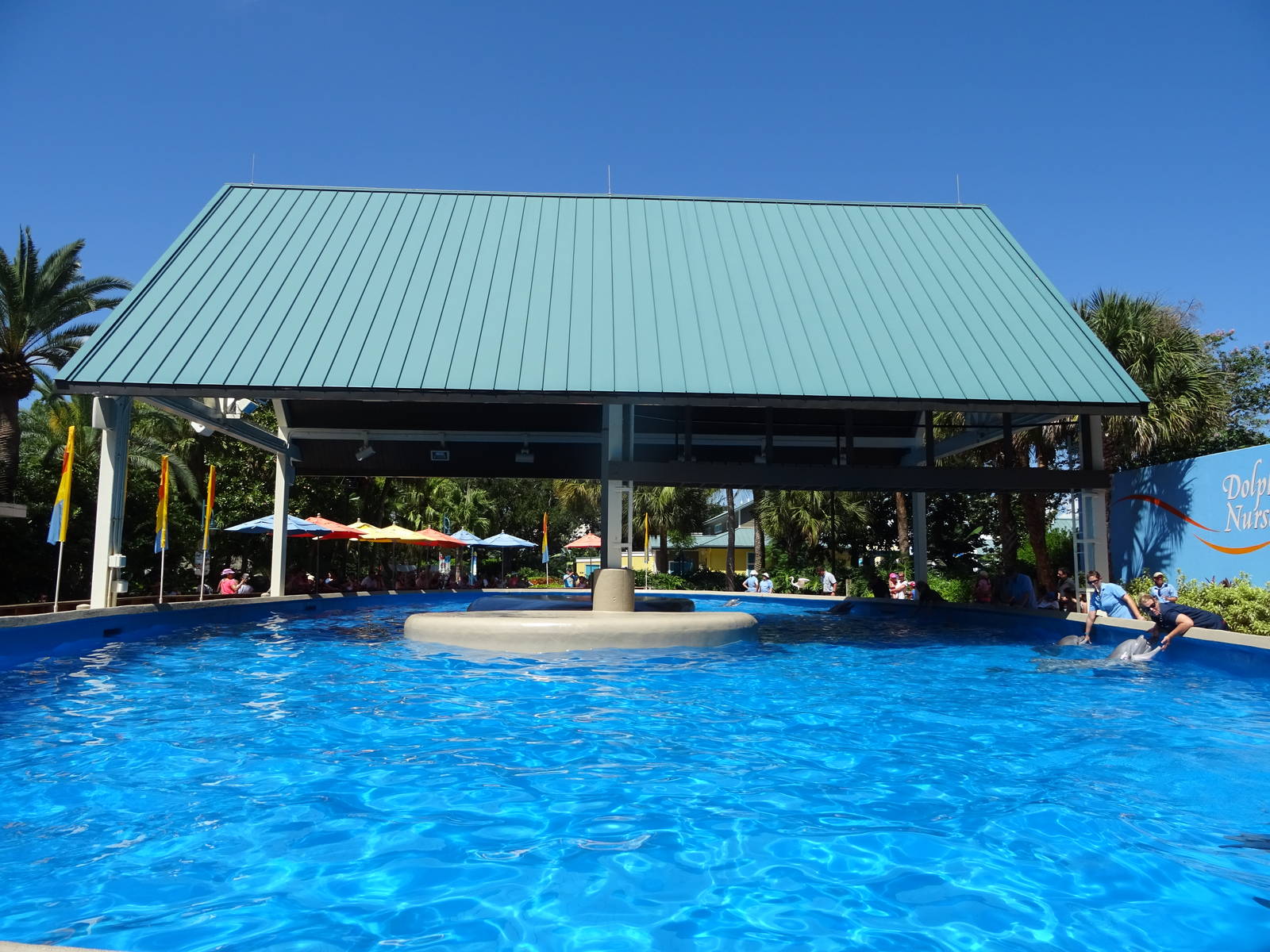 Dolphin Nursery at SeaWorld Orlando
