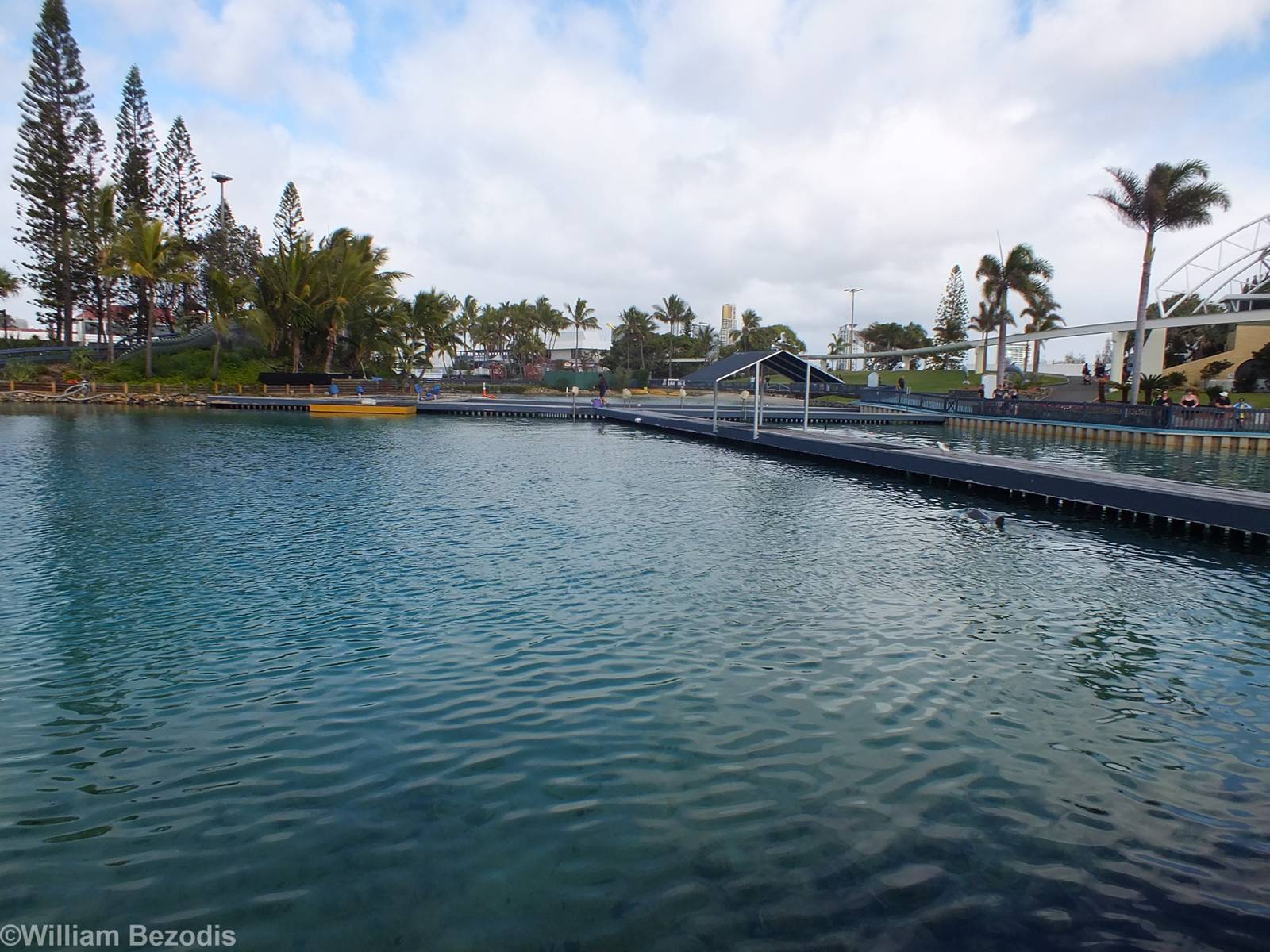 Dolphin Nursery Pools