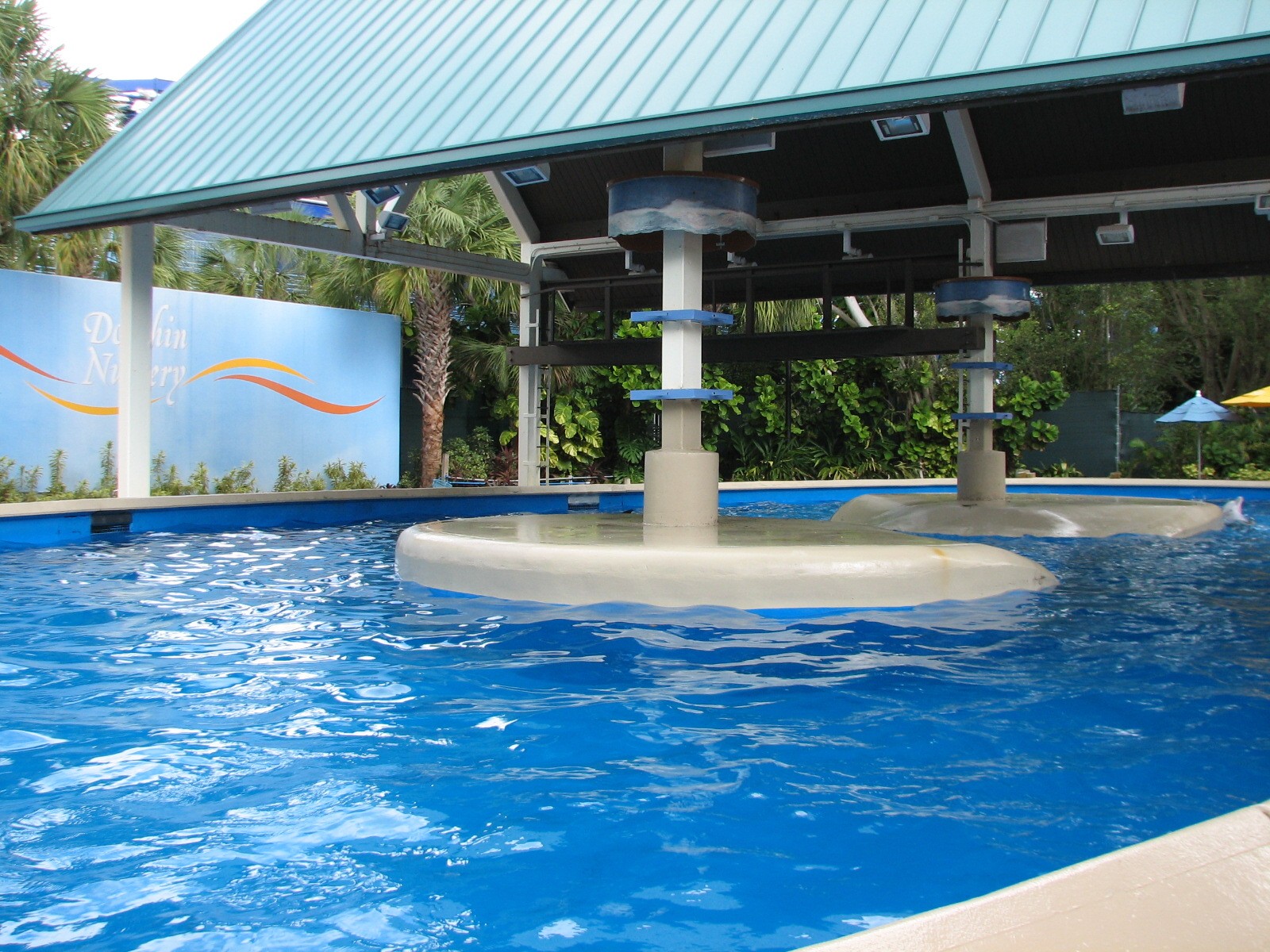 Dolphin Nursery