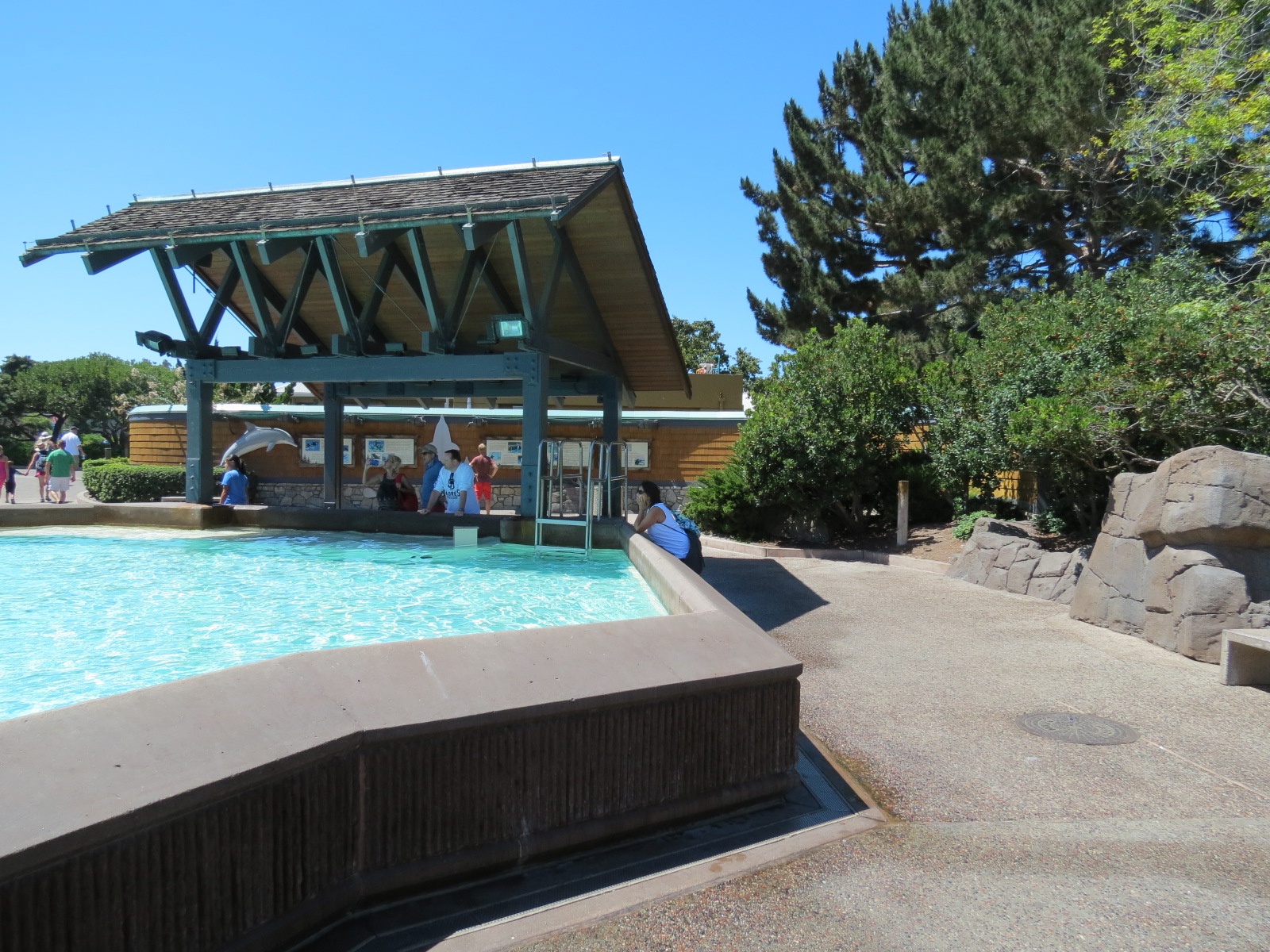 Dolphin Point - Bottlenose Dolphin Exhibit 1