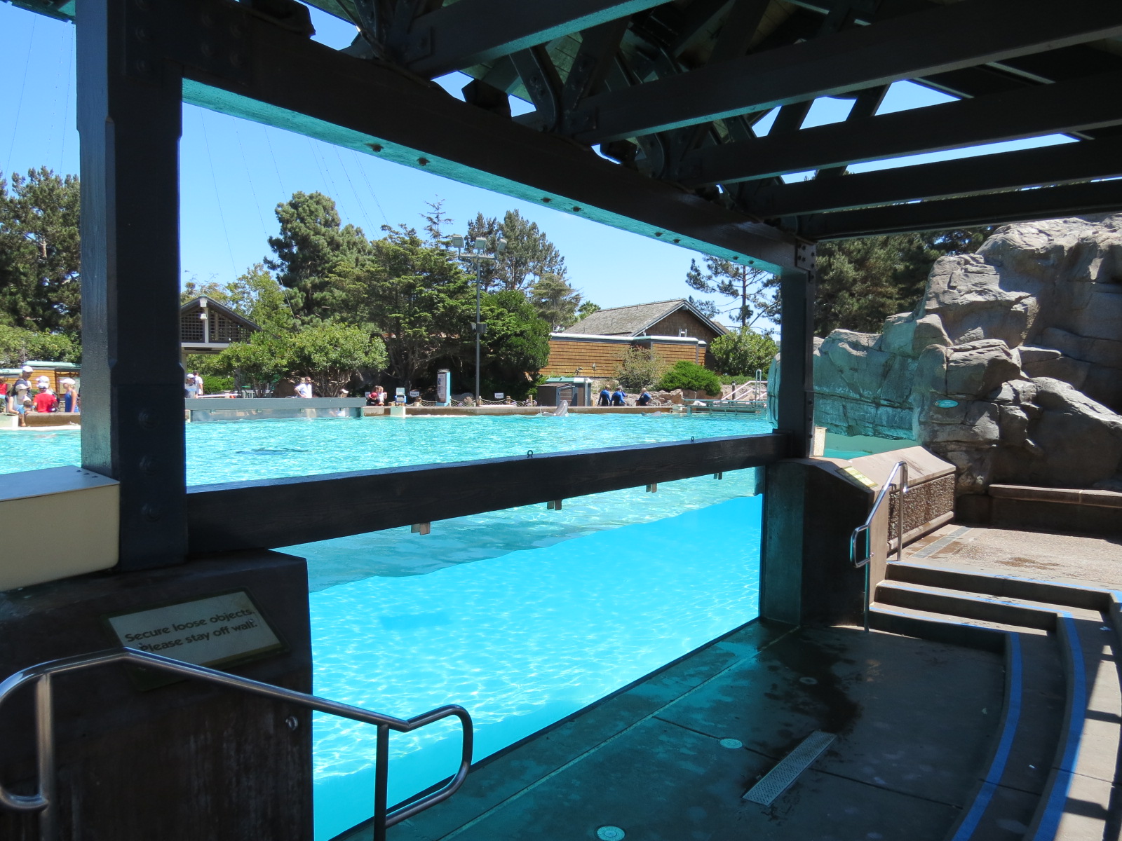 Dolphin Point - Bottlenose Dolphin Exhibit 1