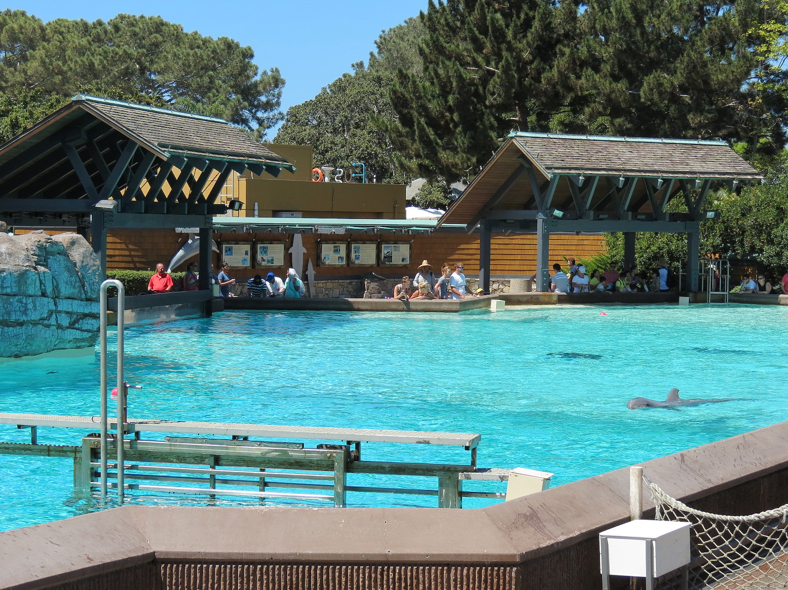 Dolphin Point - Bottlenose Exhibit 1