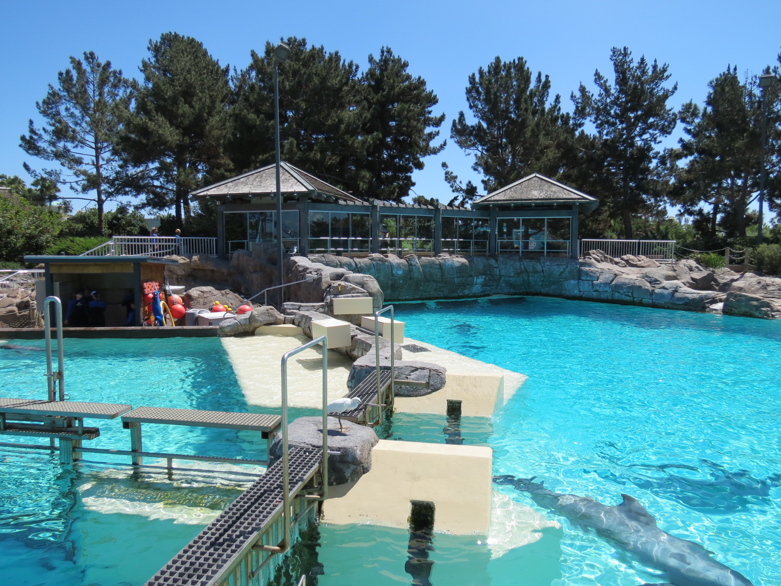 Dolphin Point - Bottlenose Exhibit 2