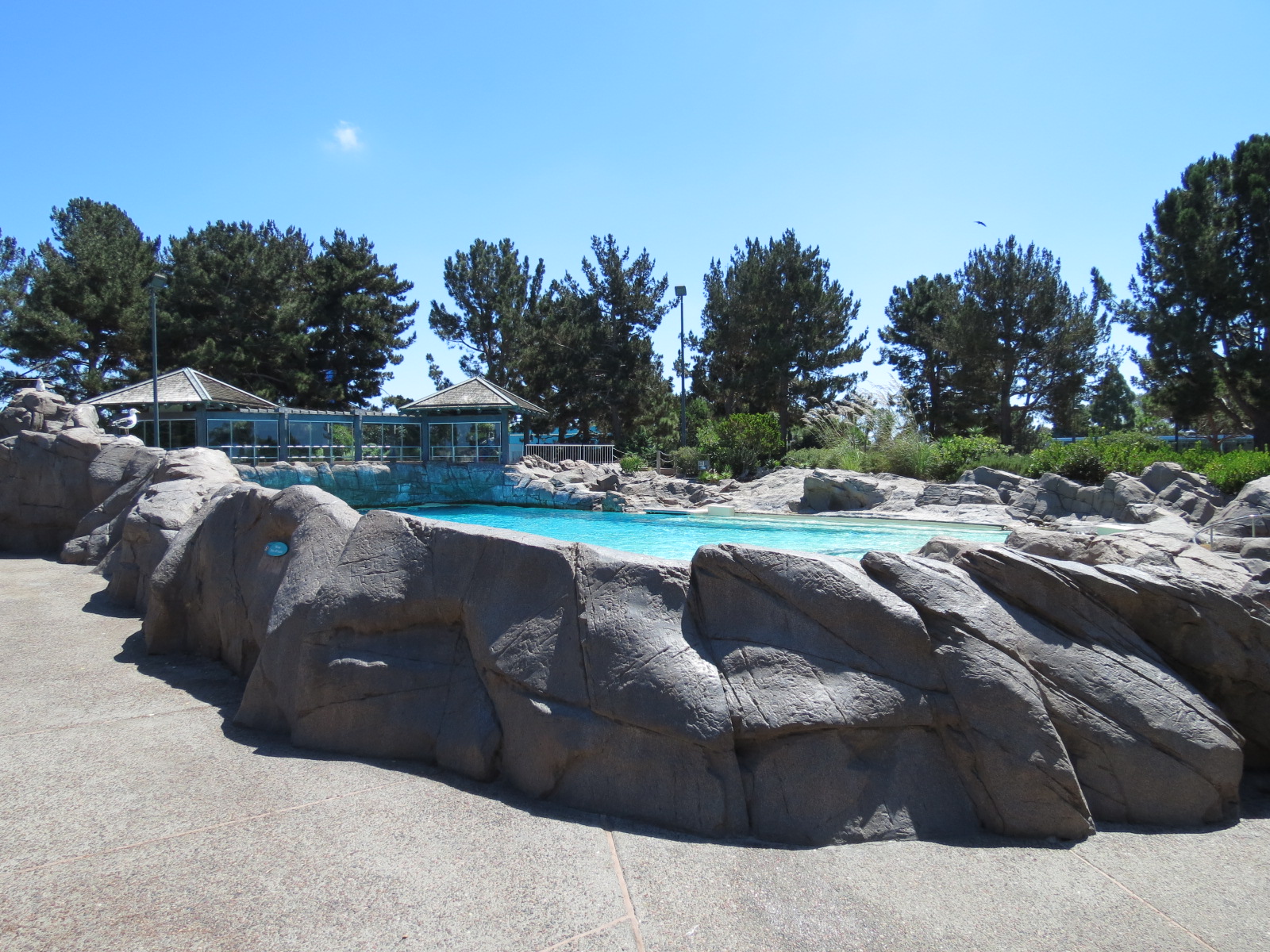 Dolphin Point - Bottlenose Exhibit 2