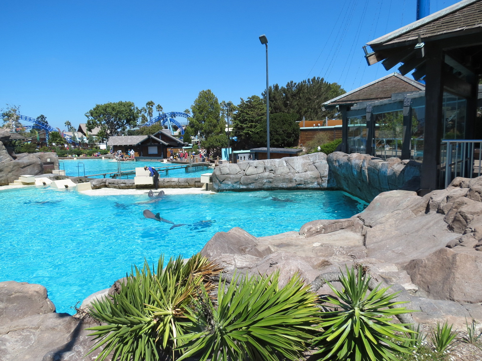 Dolphin Point - Bottlenose Exhibit 2