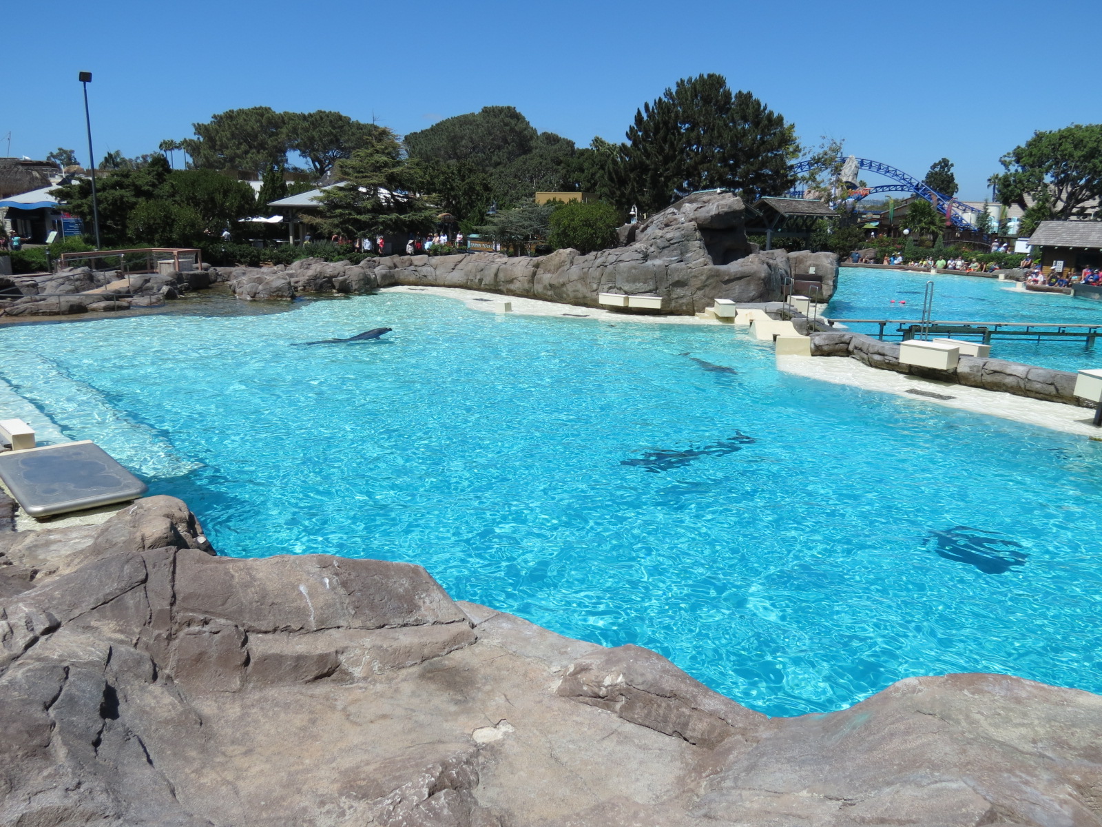 Dolphin Point - Bottlenose Exhibit 2