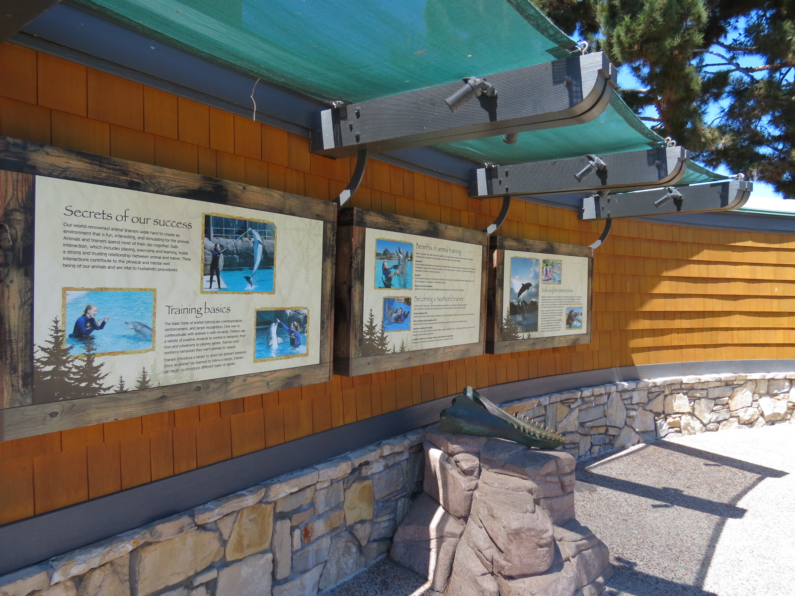 Dolphin Point - Dolphin Graphics