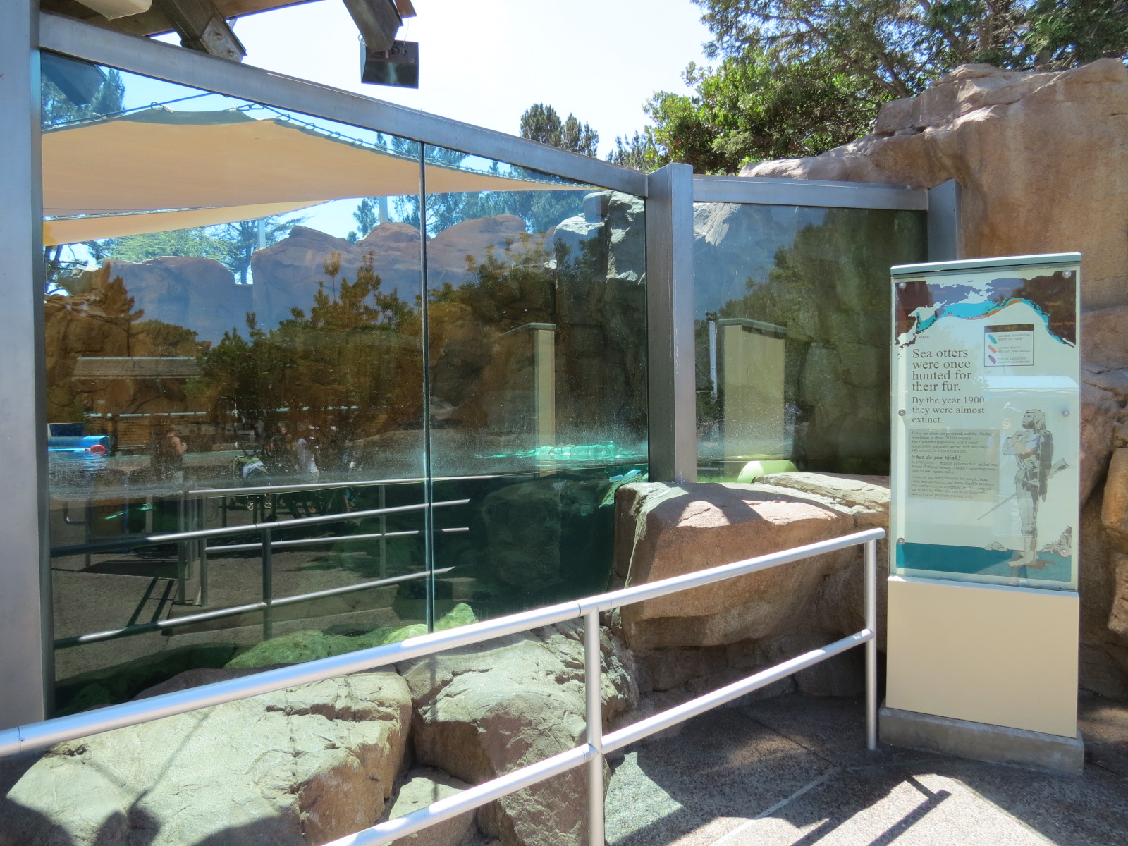 Dolphin Point - Sea Otter Exhibit