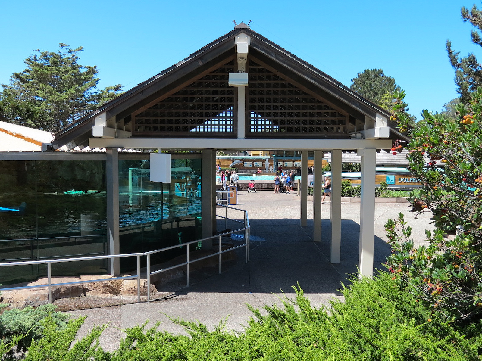 Dolphin Point - Sea Otter Exhibit