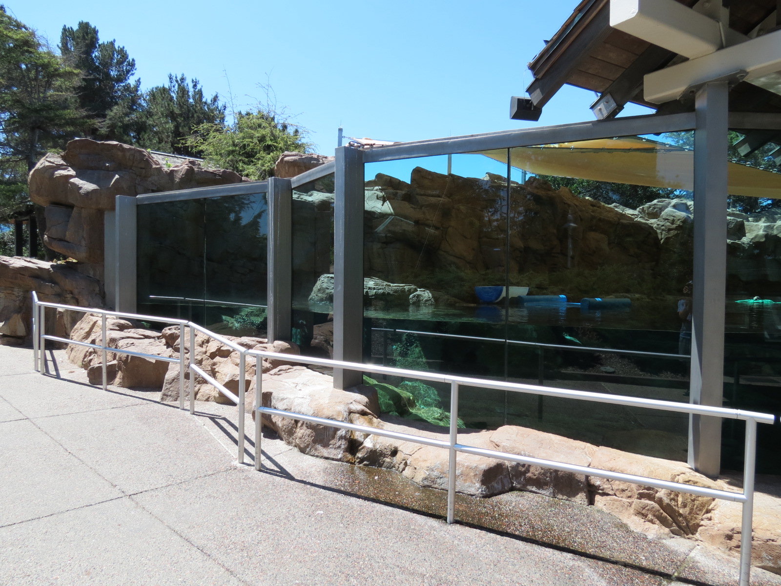 Dolphin Point - Sea Otter Exhibit