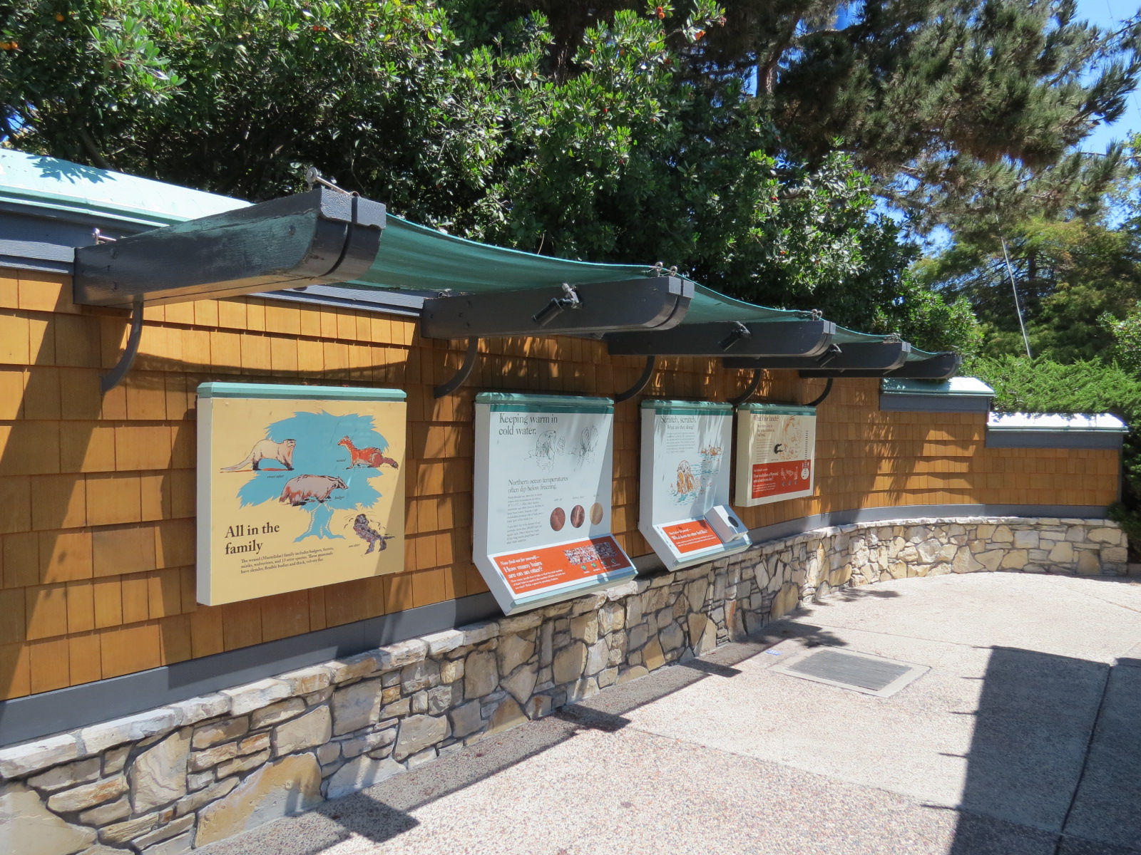 Dolphin Point - Sea Otter Graphics