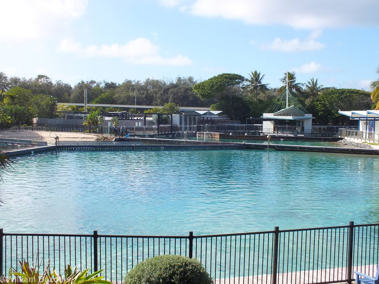 Dolphin Pool and Seal Pools Behind