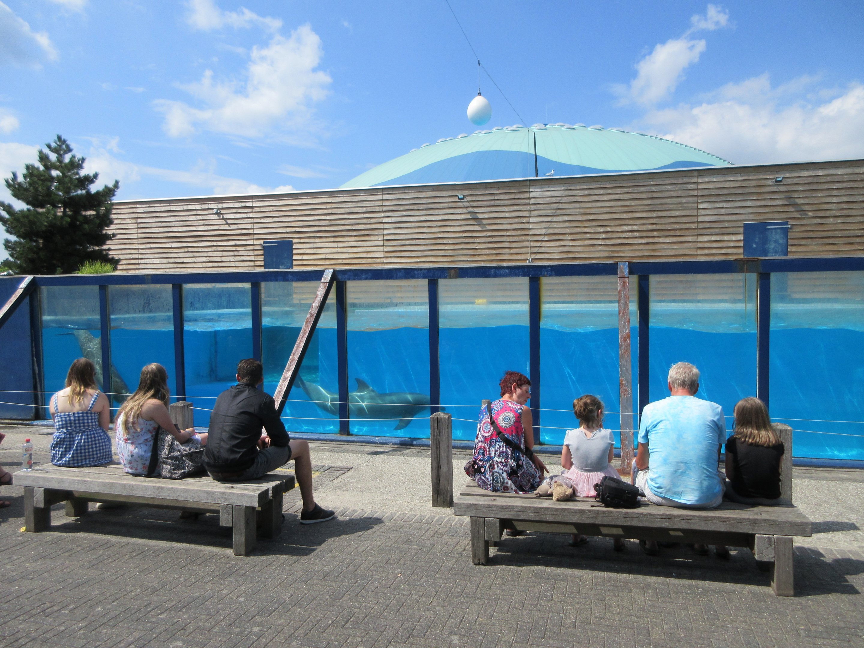 Dolphin Pool (connected to dome)